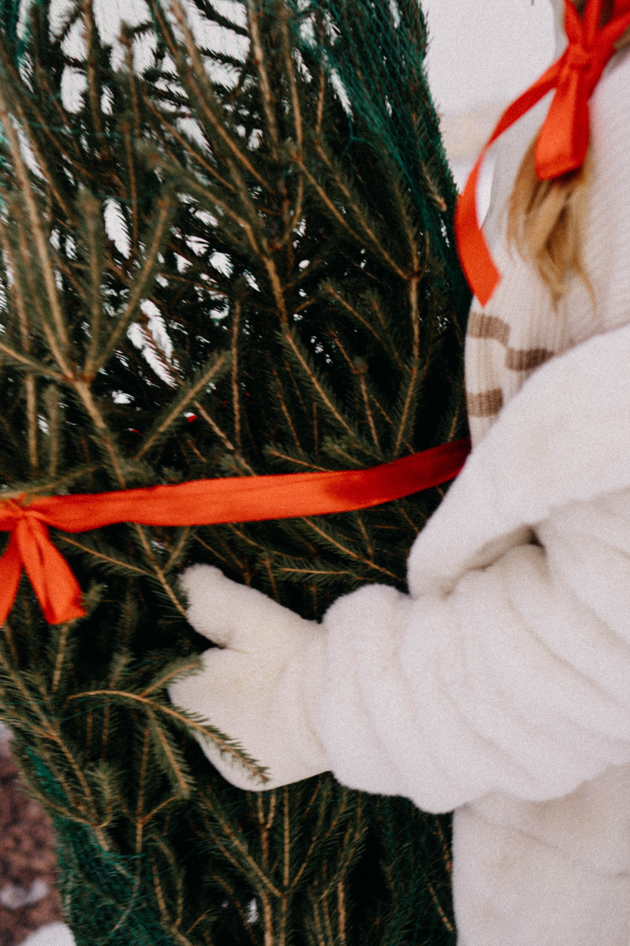 Новогодняя. Профессиональный фотограф, Санкт-Петербург — Виктория Богомолова