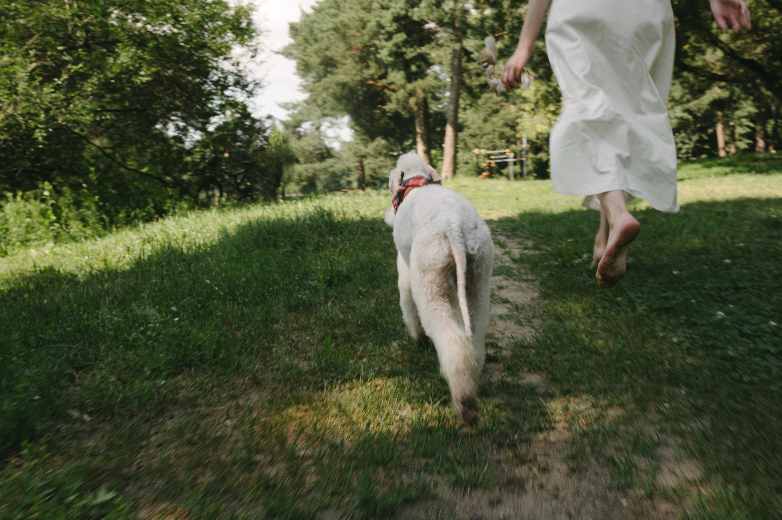 Лиза и Каспер. Фотограф анималист в Москве Ольга Агушева