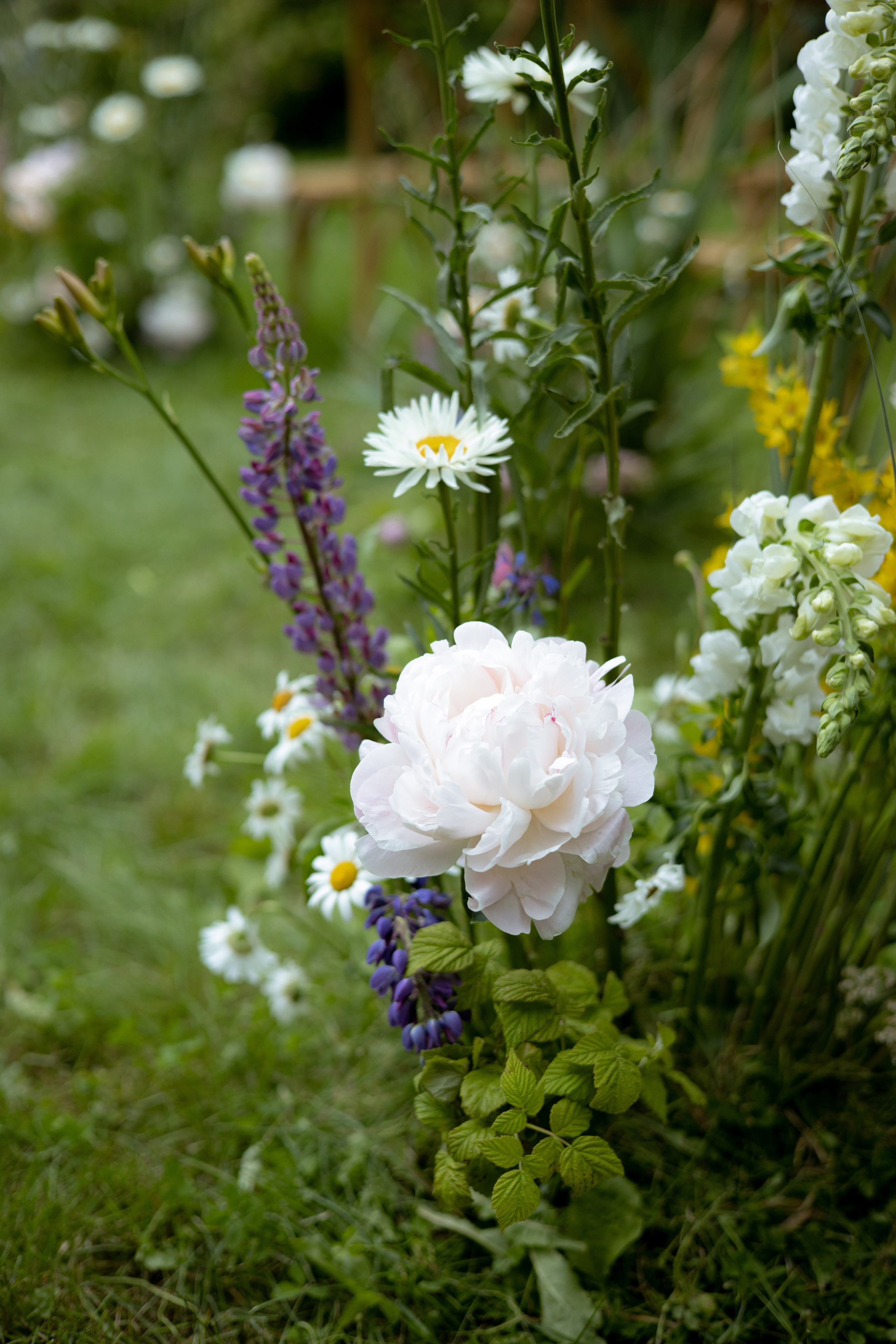 Павел & Полина. Оформление свадеб, декор свадеб Вера Маркова, Москва