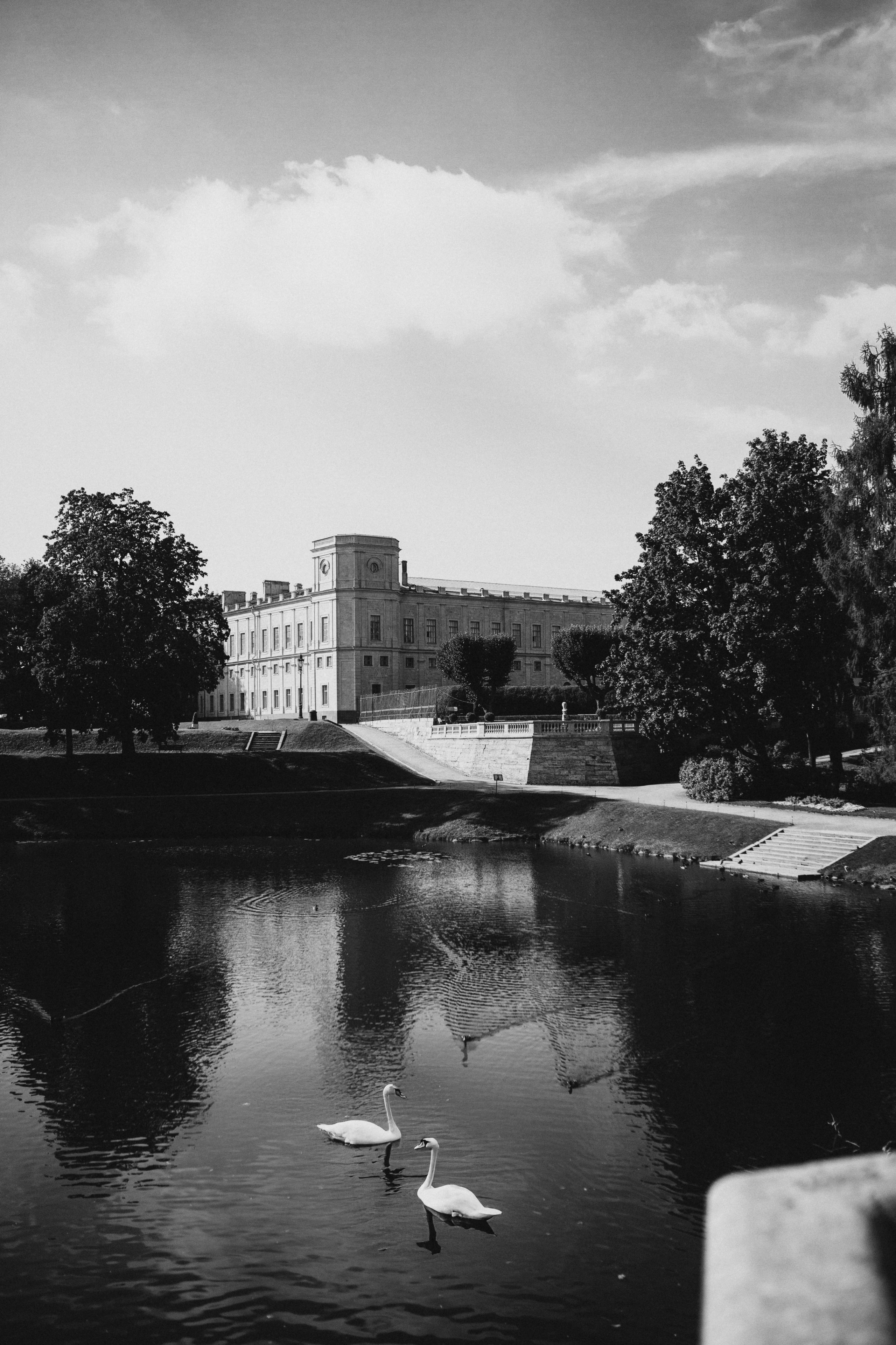 Алиса. Klerout Photographer