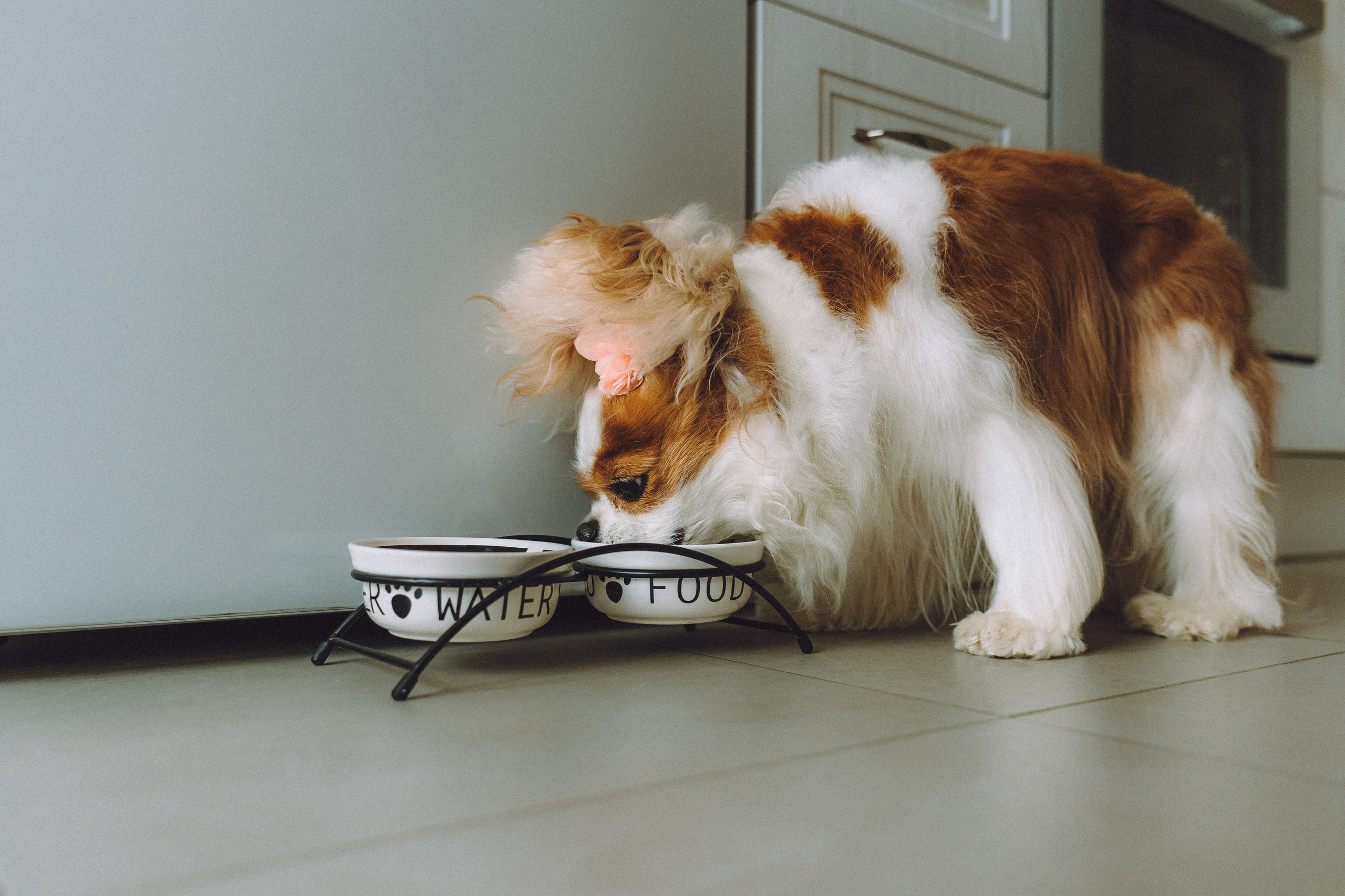 Наташа и Вики