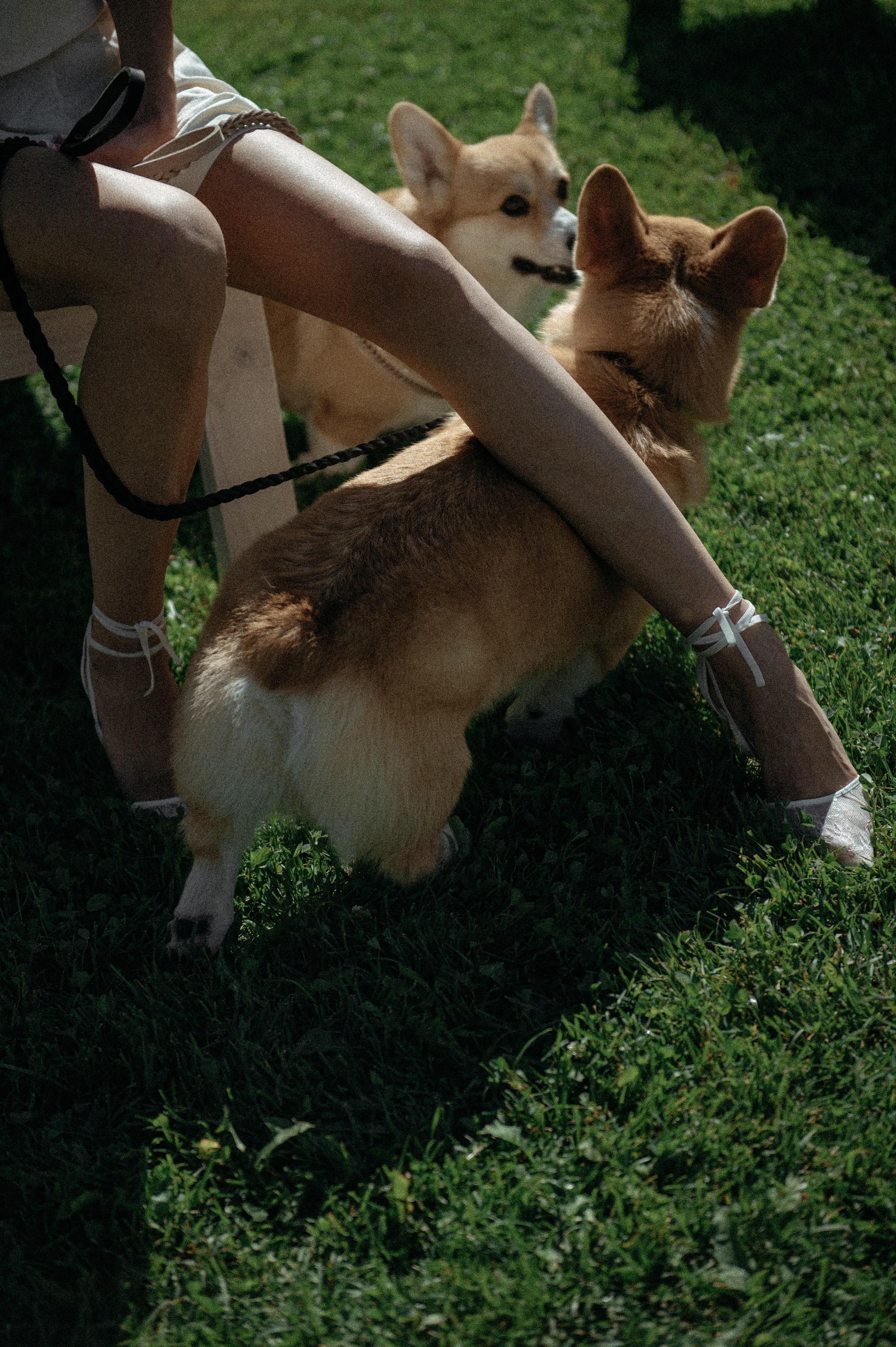 Sergey&Kseniya. Свадебный фотограф МОСКВА, КРЫМ, СМОЛЕНСК АЛЯ КОНОВАЛОВА