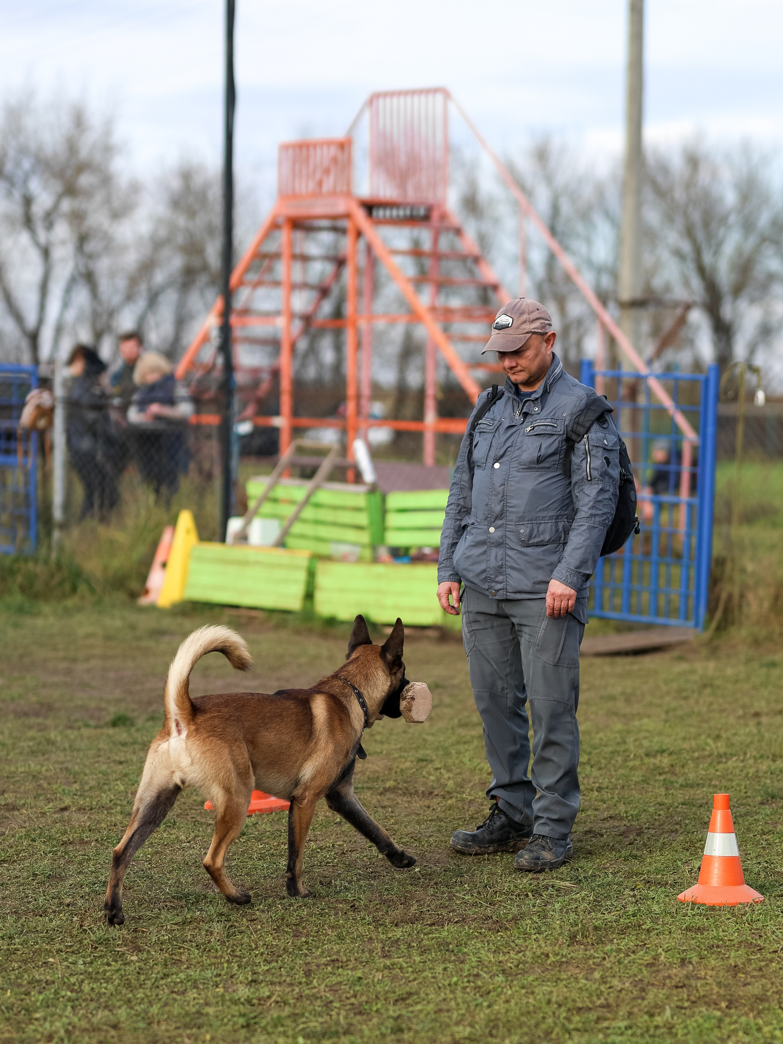 Соревнования BH. Фотограф-анималист в Москве Кириллова Татьяна