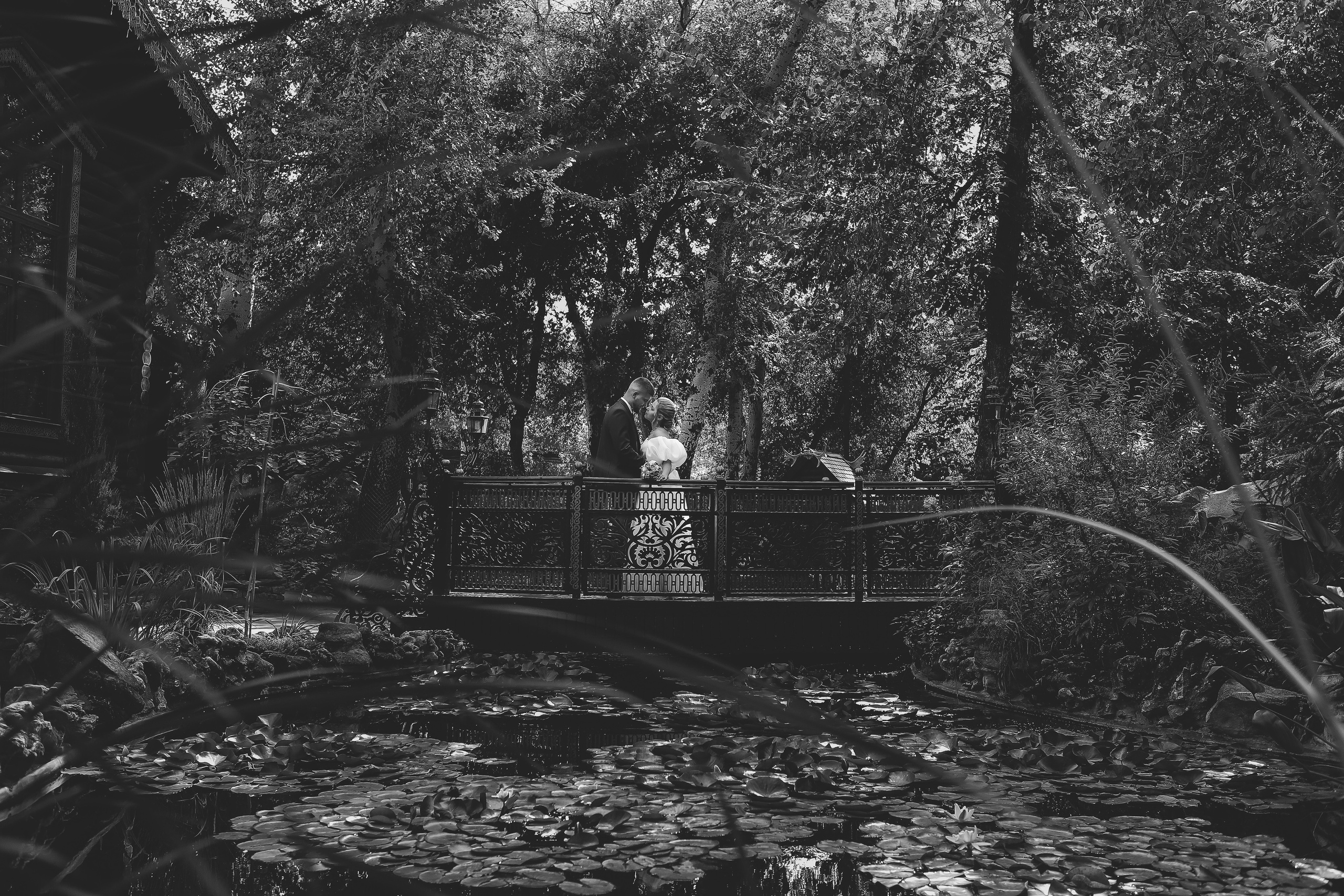 Анна и Михаил. Свадебный фотограф Евгения Фролова г. Каменск-Шахтинский, Донецк, Ростов