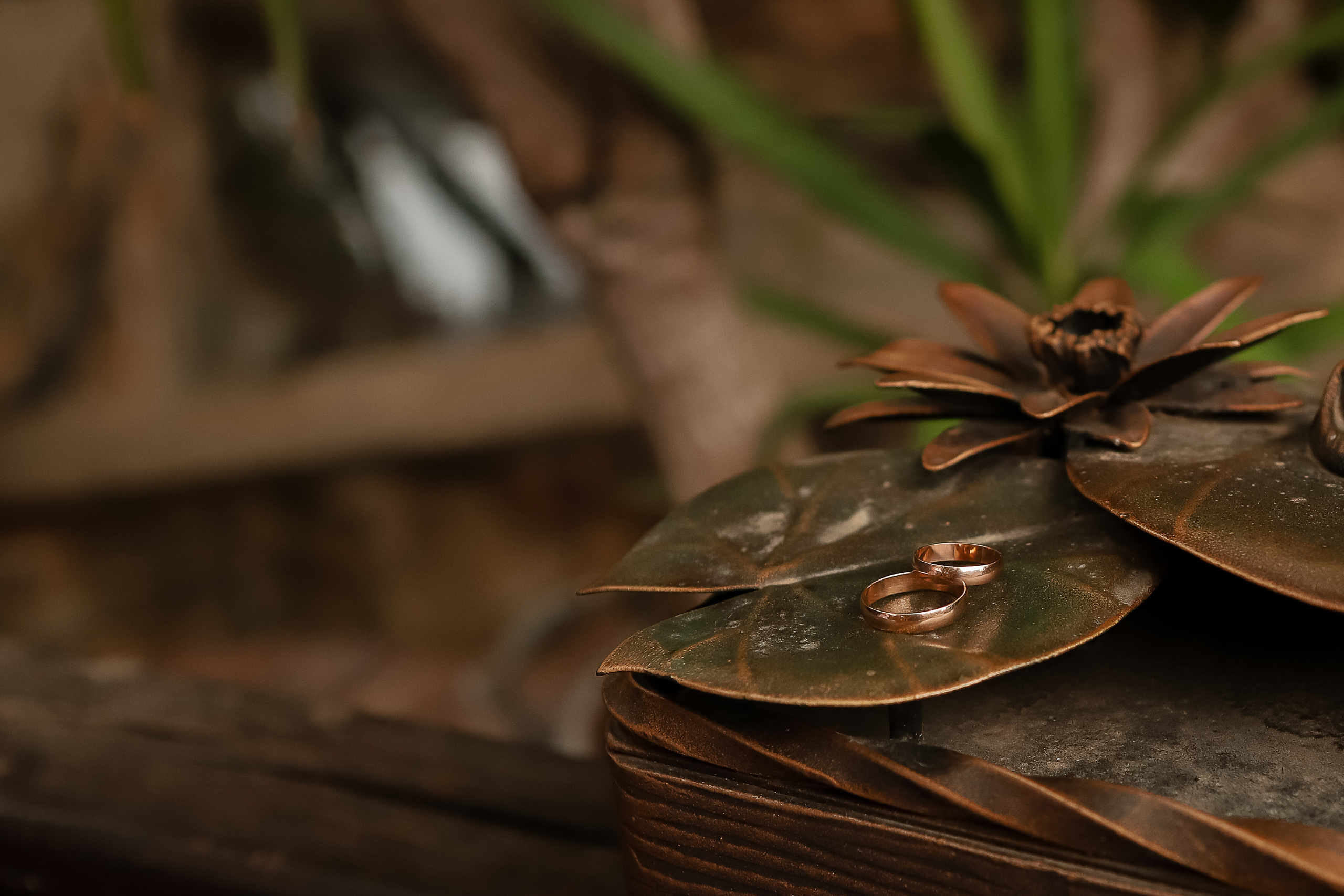 Антон и Дарья. Свадебный фотограф Евгения Фролова г. Каменск-Шахтинский, Донецк, Ростов