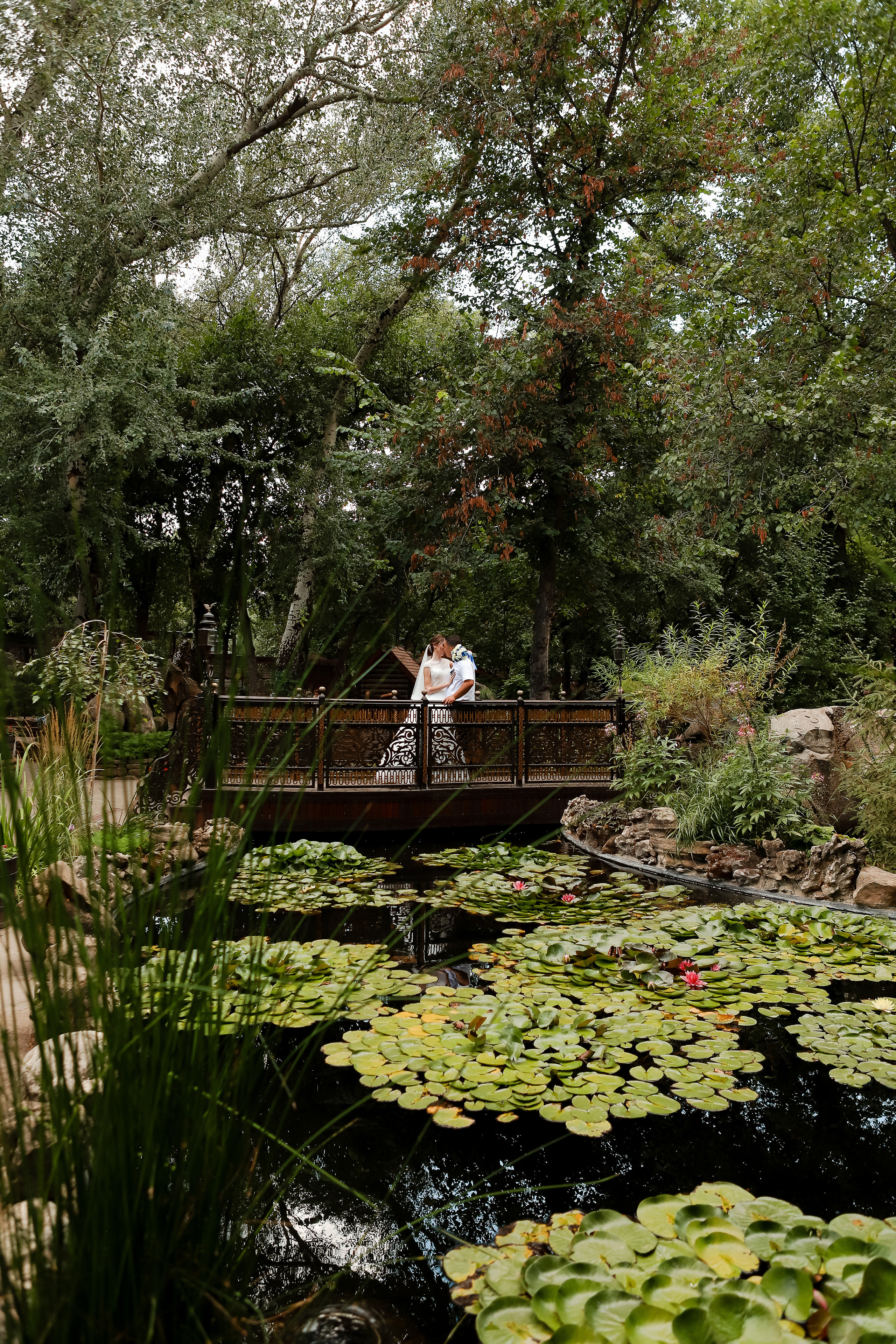 Яна и Андрей. Свадебный фотограф Евгения Фролова г. Каменск-Шахтинский, Донецк, Ростов