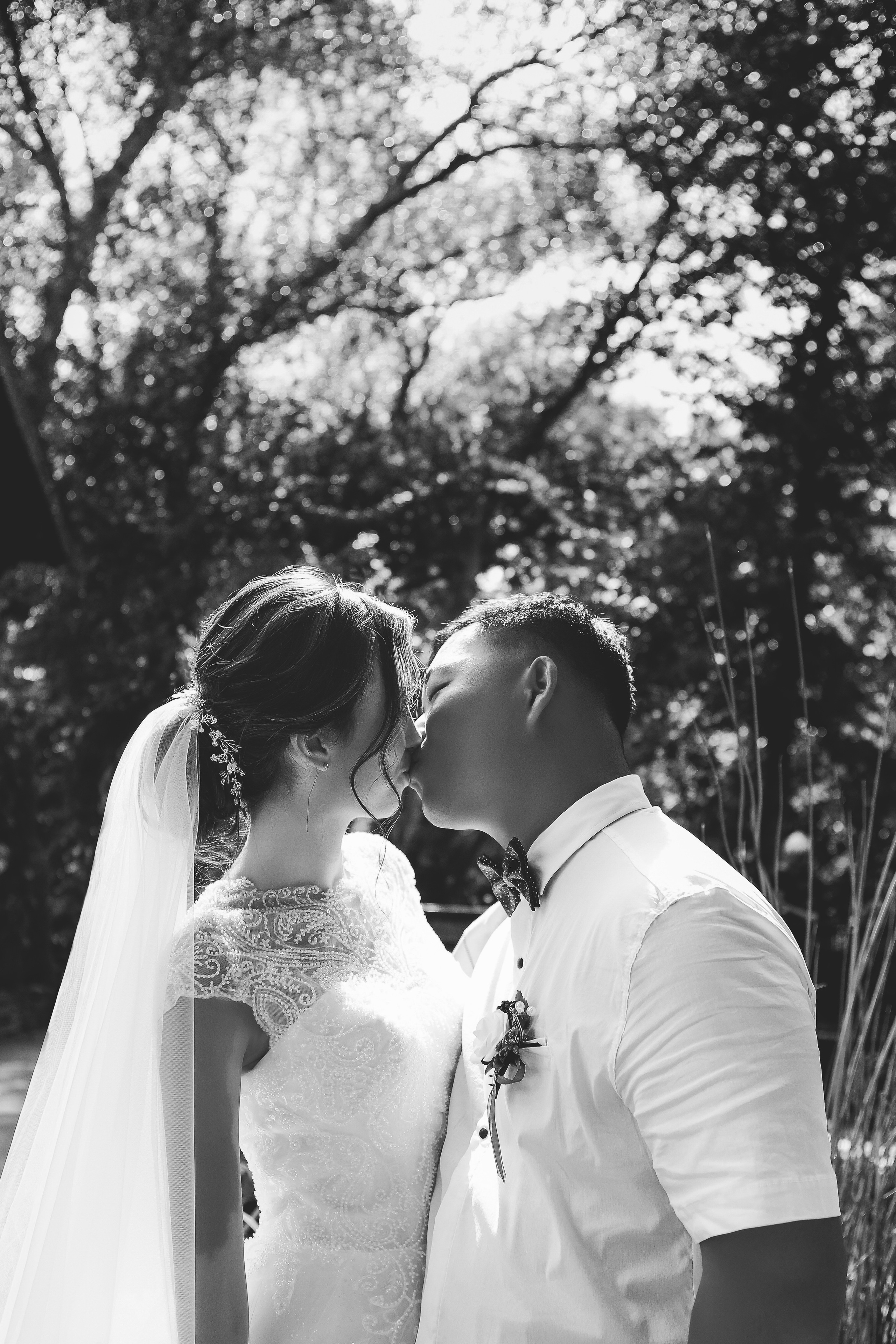 Яна и Андрей. Свадебный фотограф Евгения Фролова г. Каменск-Шахтинский, Донецк, Ростов