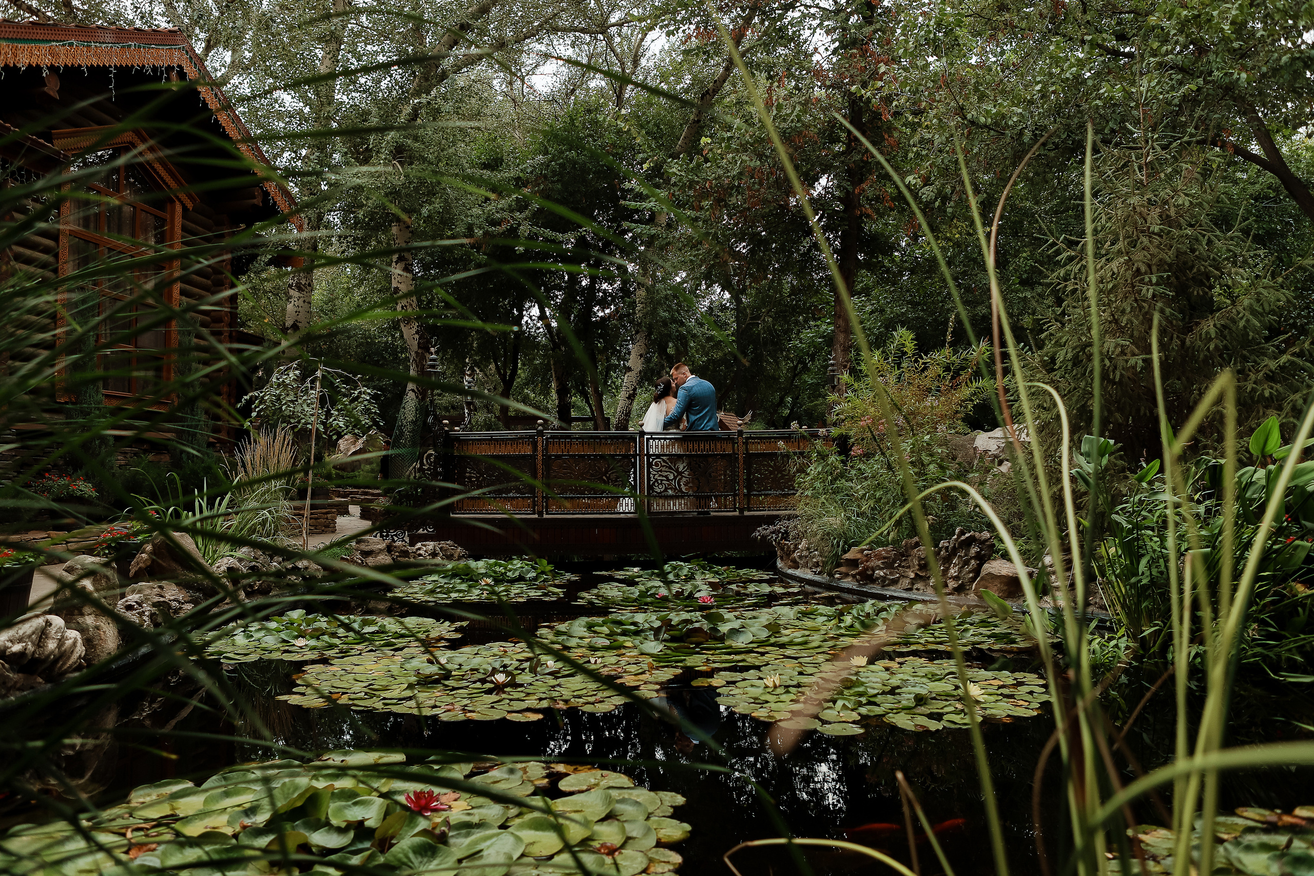 Владимир и Виолетта. Свадебный фотограф Евгения Фролова г. Каменск-Шахтинский, Донецк, Ростов