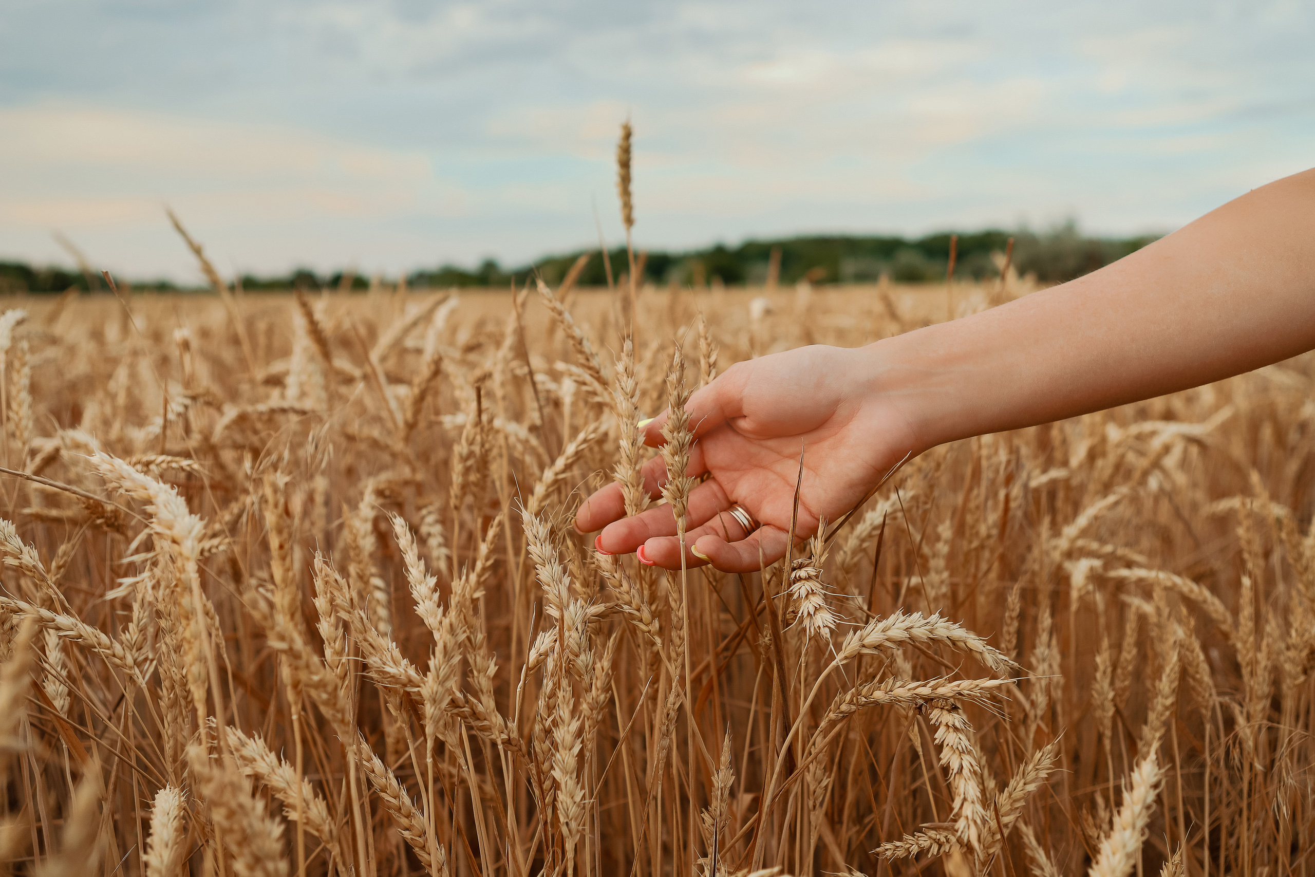 Необычное лав стори. Свадебный фотограф Евгения Фролова г. Каменск-Шахтинский, Донецк, Ростов