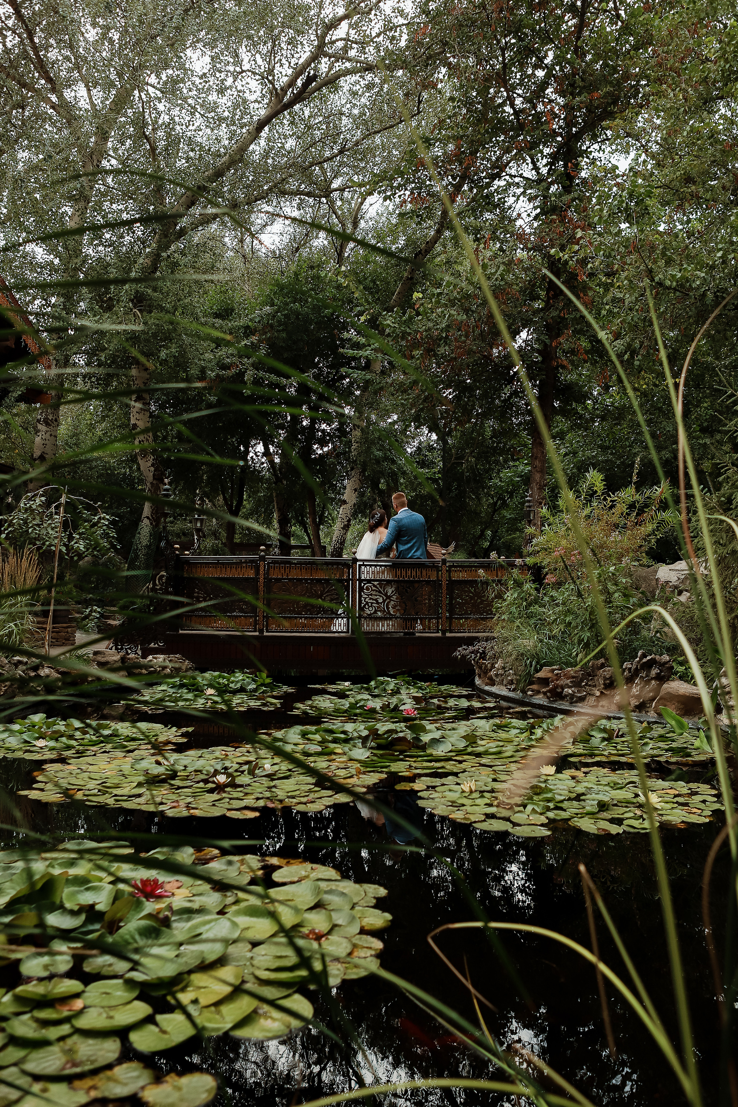 Владимир и Виолетта. Свадебный фотограф Евгения Фролова г. Каменск-Шахтинский, Донецк, Ростов