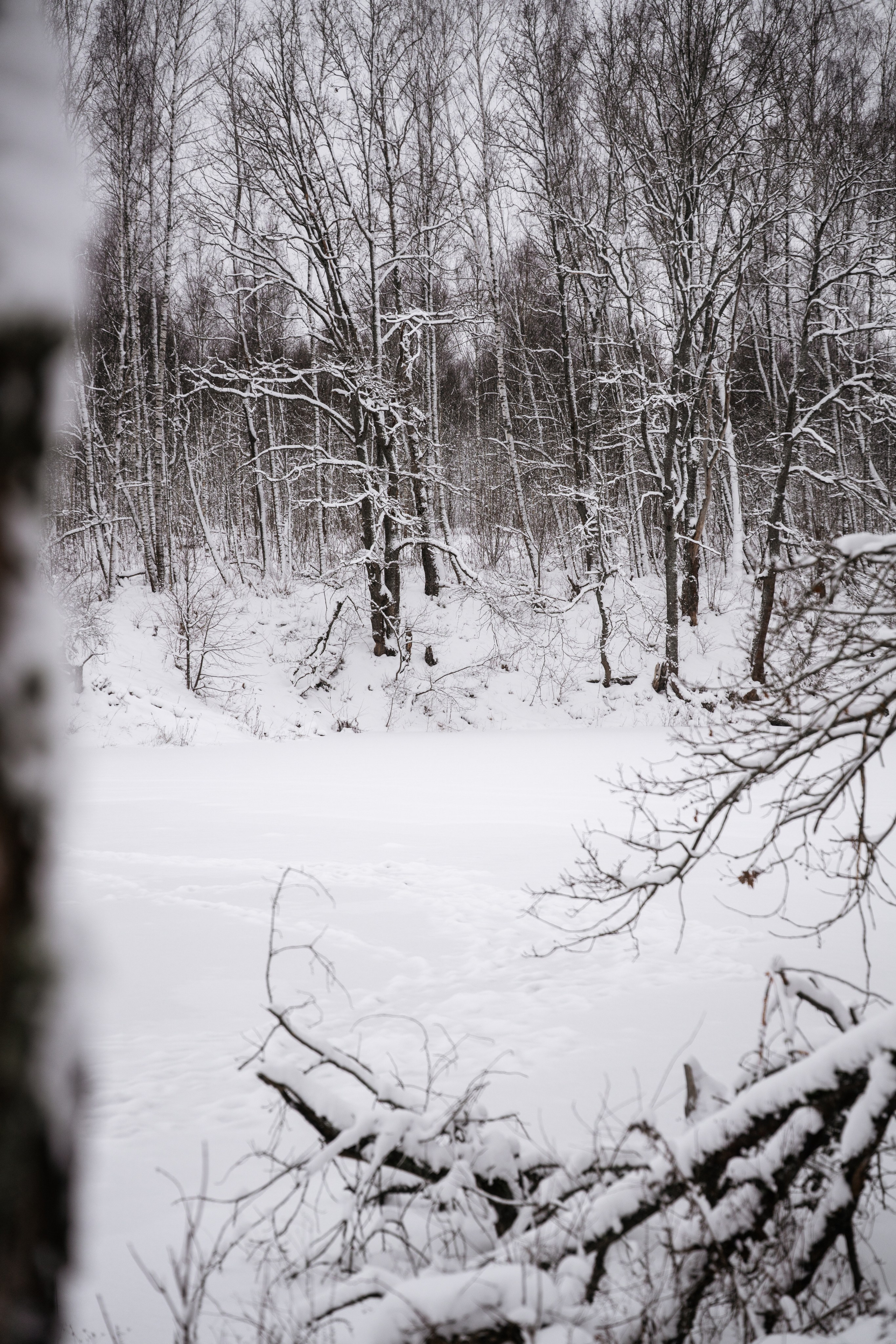 Поездка к р. Песочня и деревне Раевское. Vlad Trykov