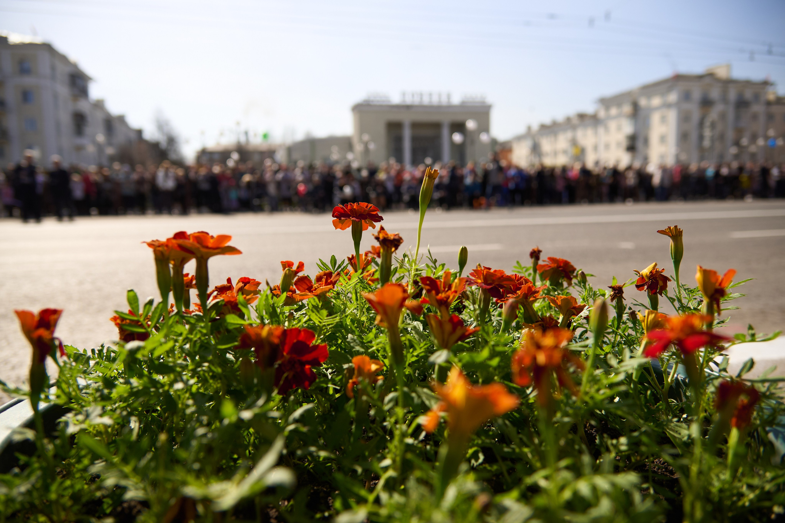 Празднование Дня победы 2024 в г. Ленинск-Кузнецкий. [fXph] Фотограф Масликов Илья. Съёмка мероприятий в Ленинске-Кузнецком