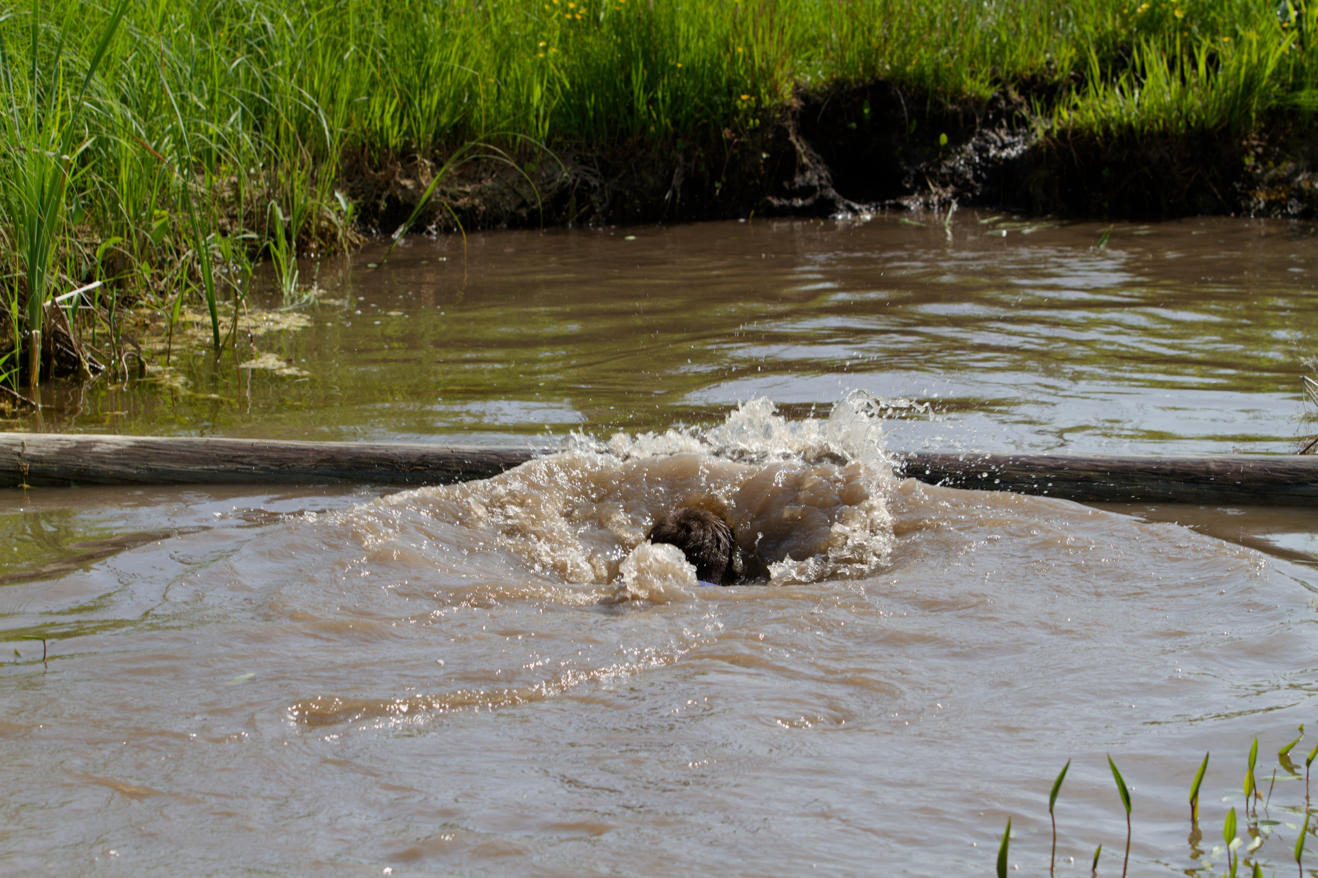 Родео59. Репортажный и спортивный фотограф в г. Пермь Зильберг Павел