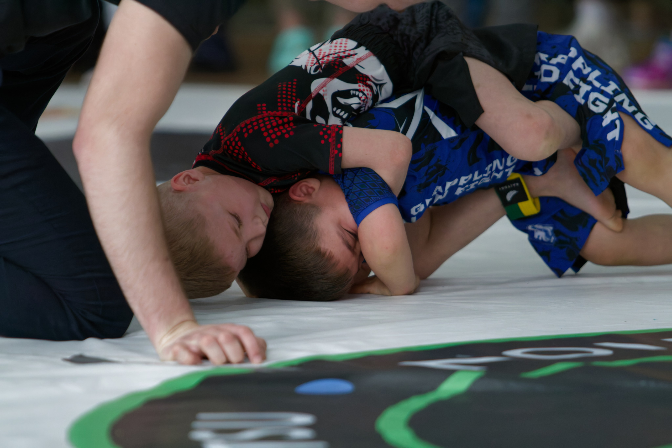 Борьба. Джиу-джитсу 26.04.2025. Репортажный и спортивный фотограф в г. Пермь Зильберг Павел