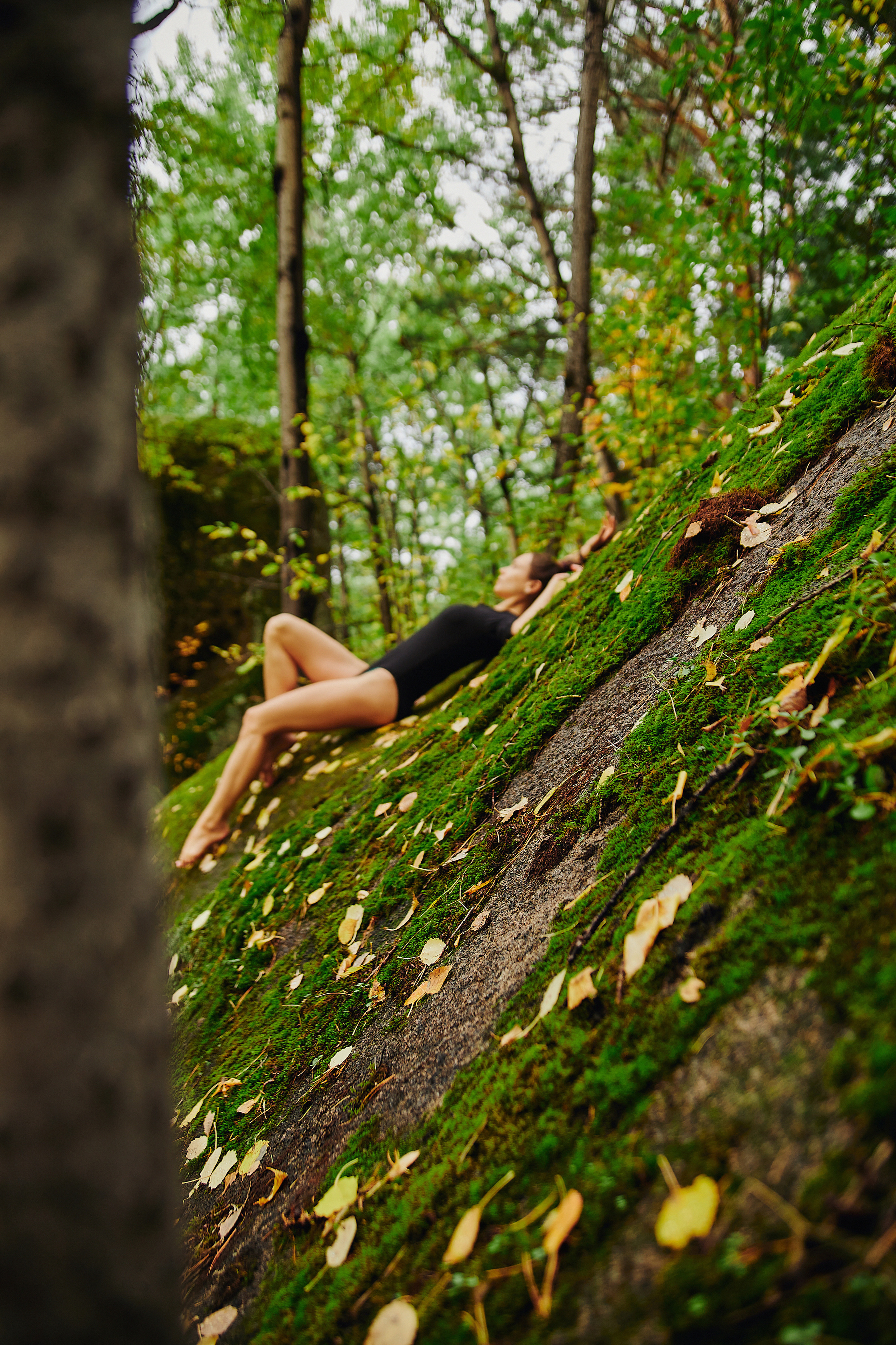 Ближе к природе. Главная