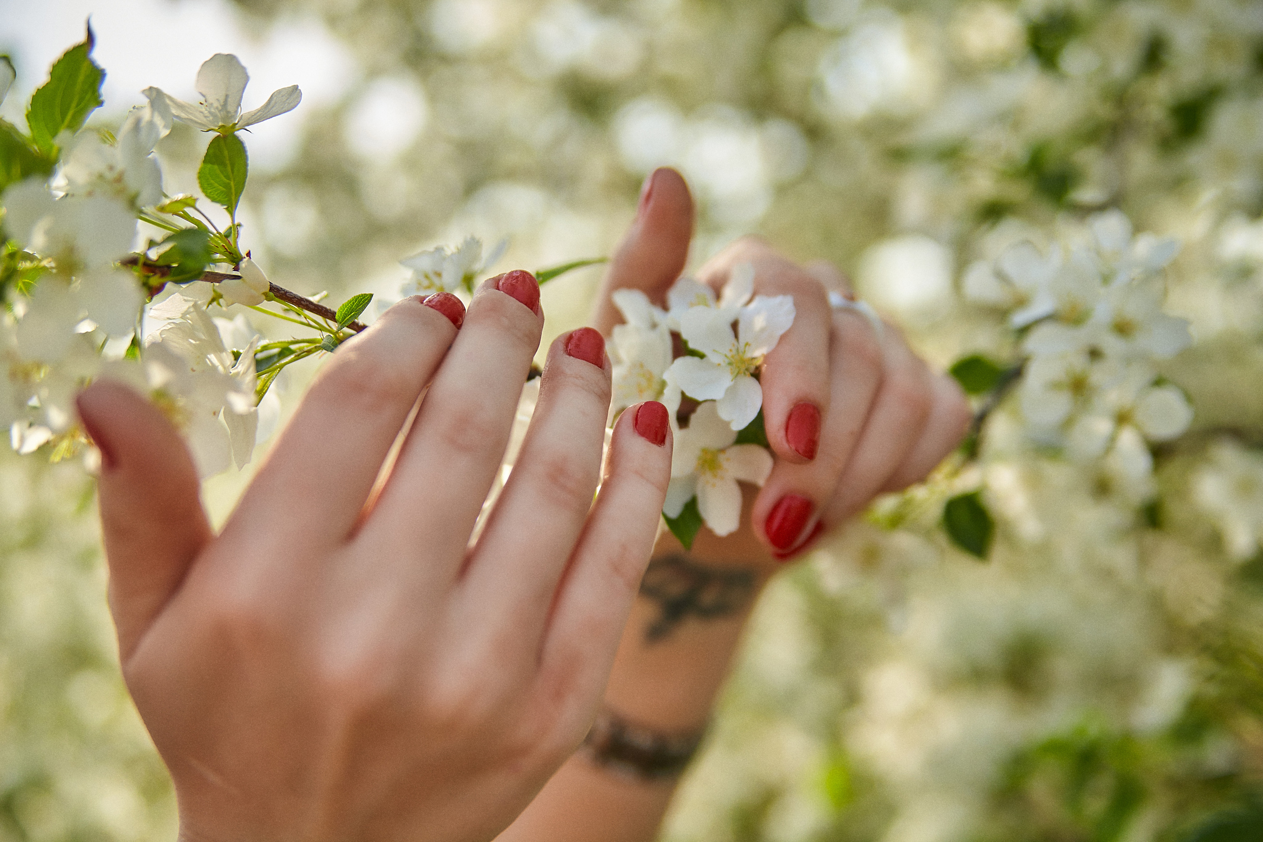 Ближе к природе. Главная