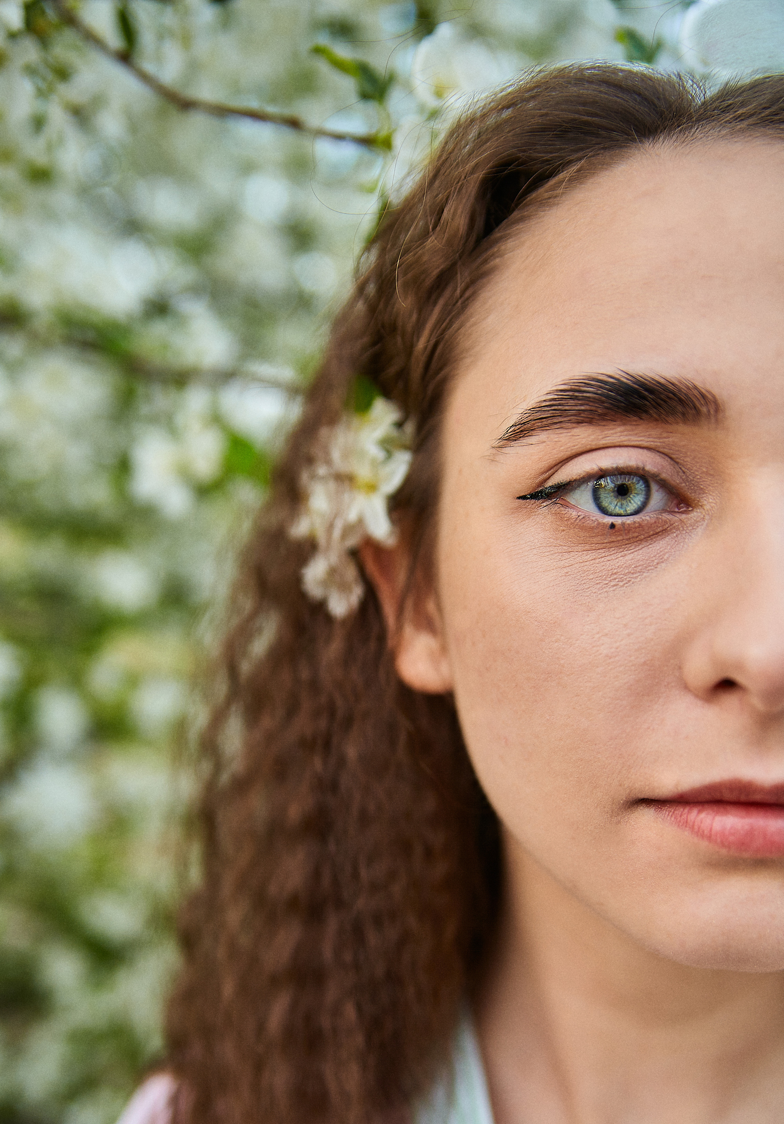 Ближе к природе. Главная