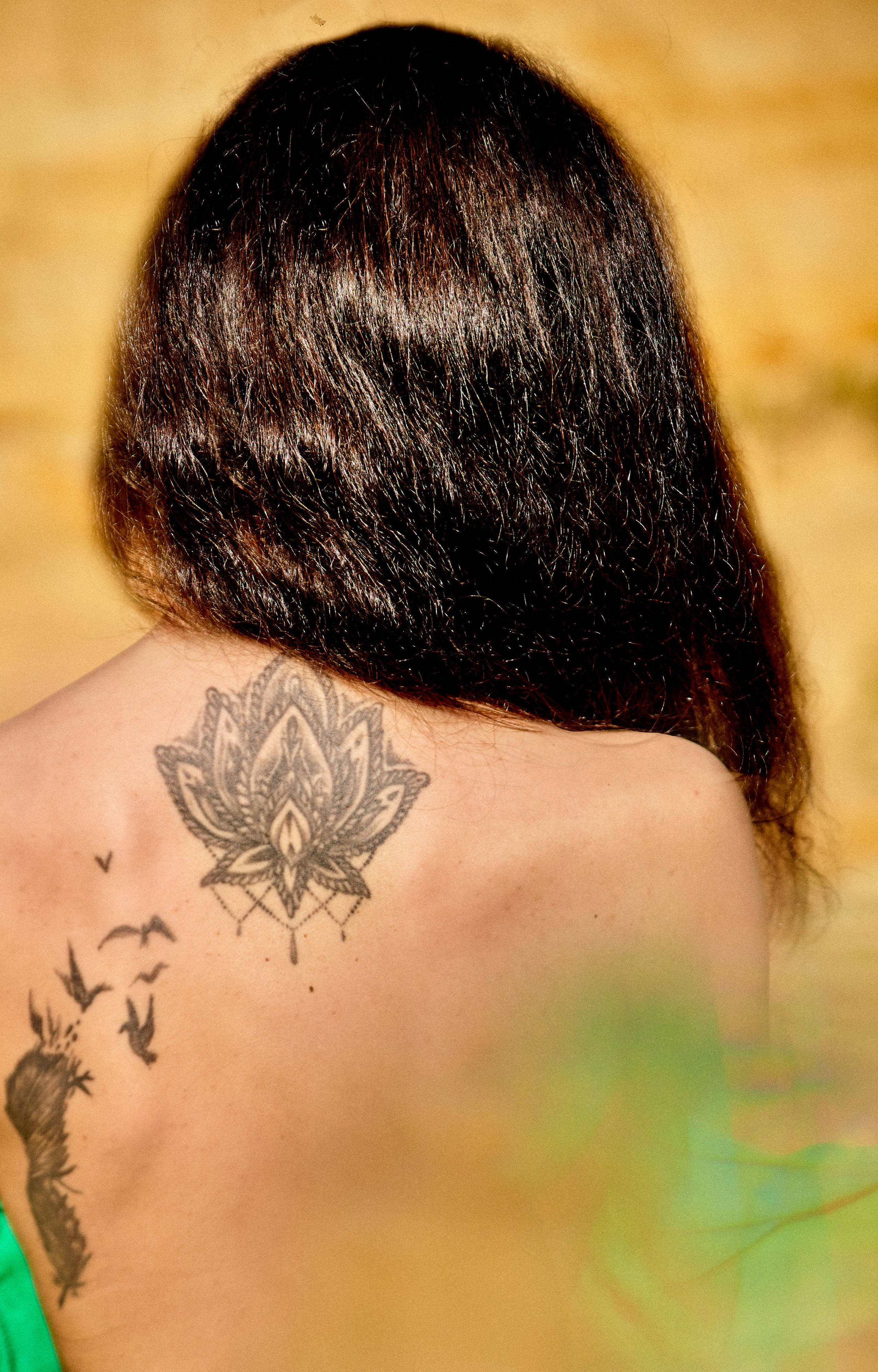 Ближе к природе. Главная