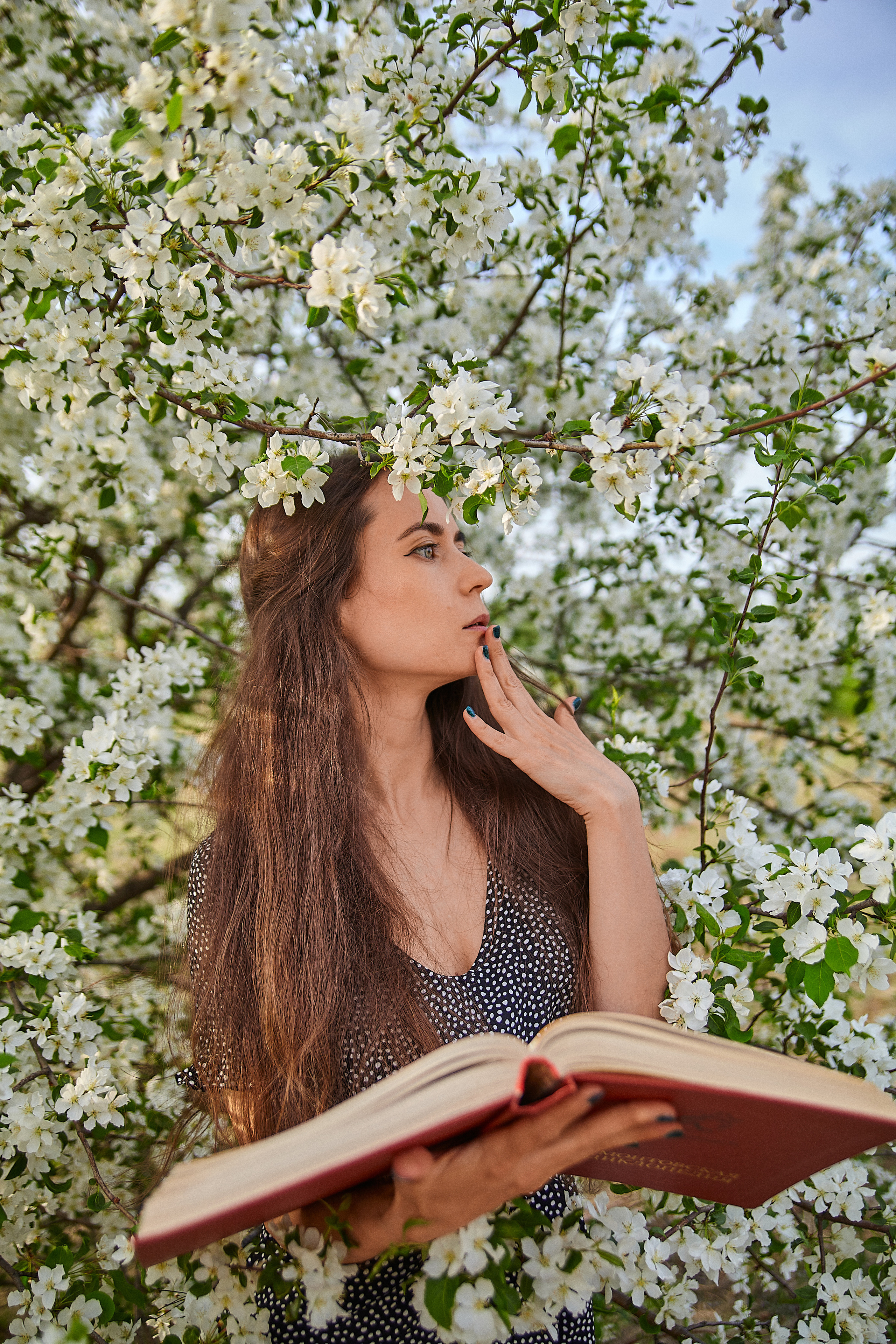 Ближе к природе. Главная