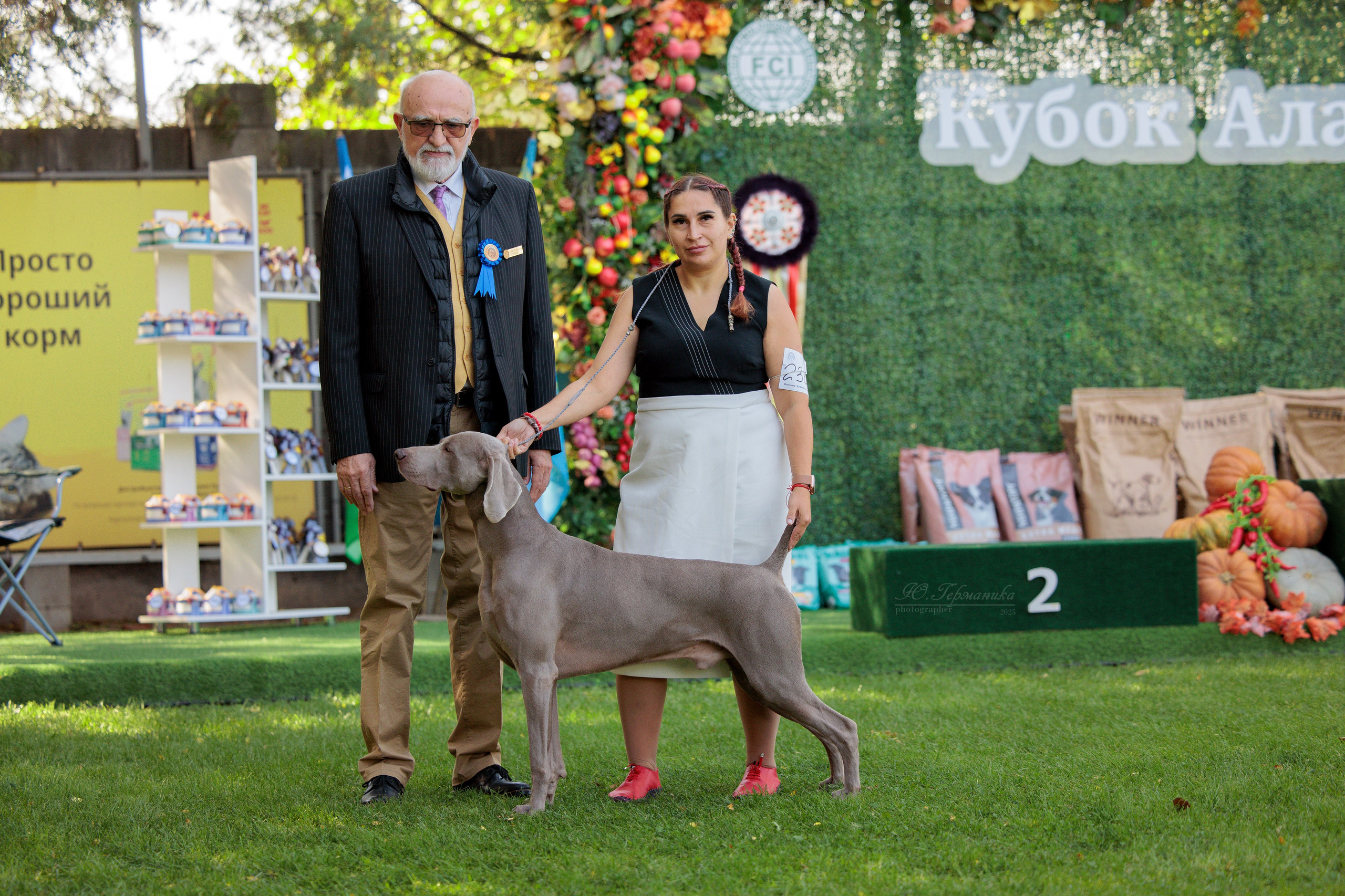 Бишкек 3х CACIB 26-28.09.2025. Фотограф-анималист Юлия Германика