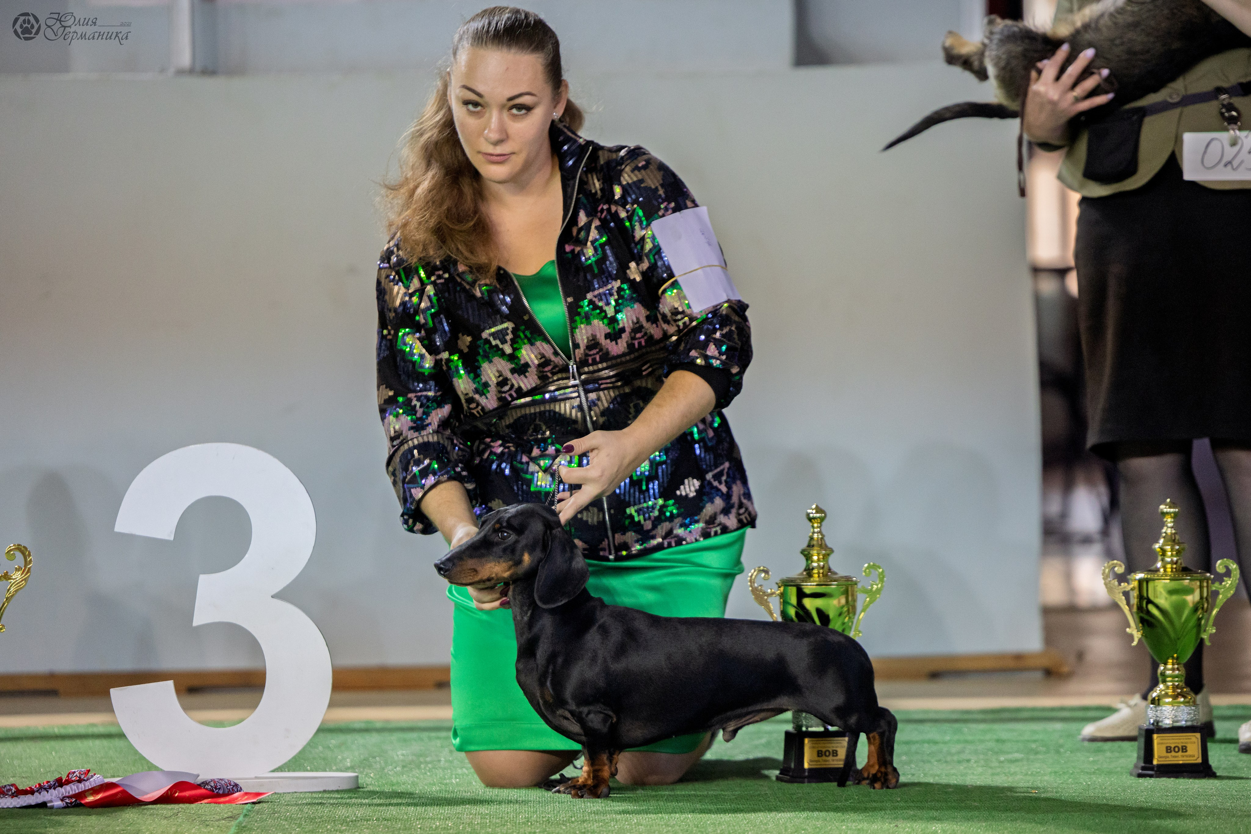 Грузия,Телави 2хCACIB 19-20.10.2024. Фотограф-анималист Юлия Германика