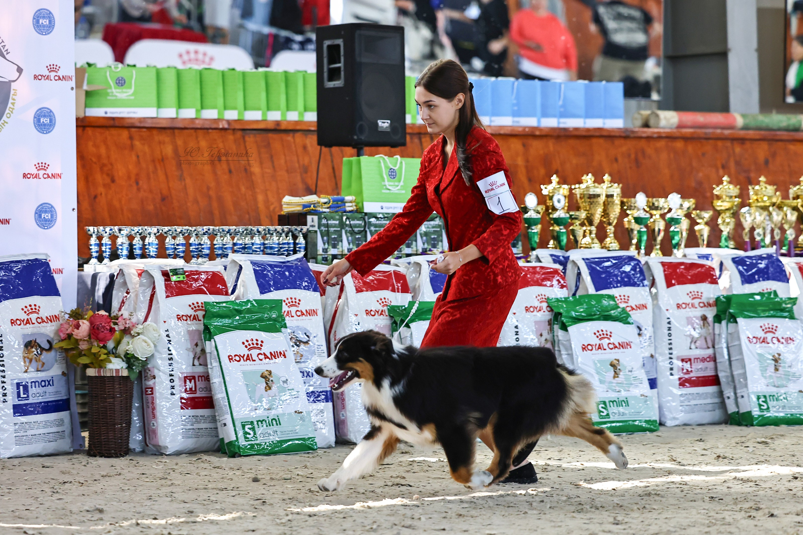 Астана 2хCACIB 26-28.09.2025. Фотограф-анималист Юлия Германика