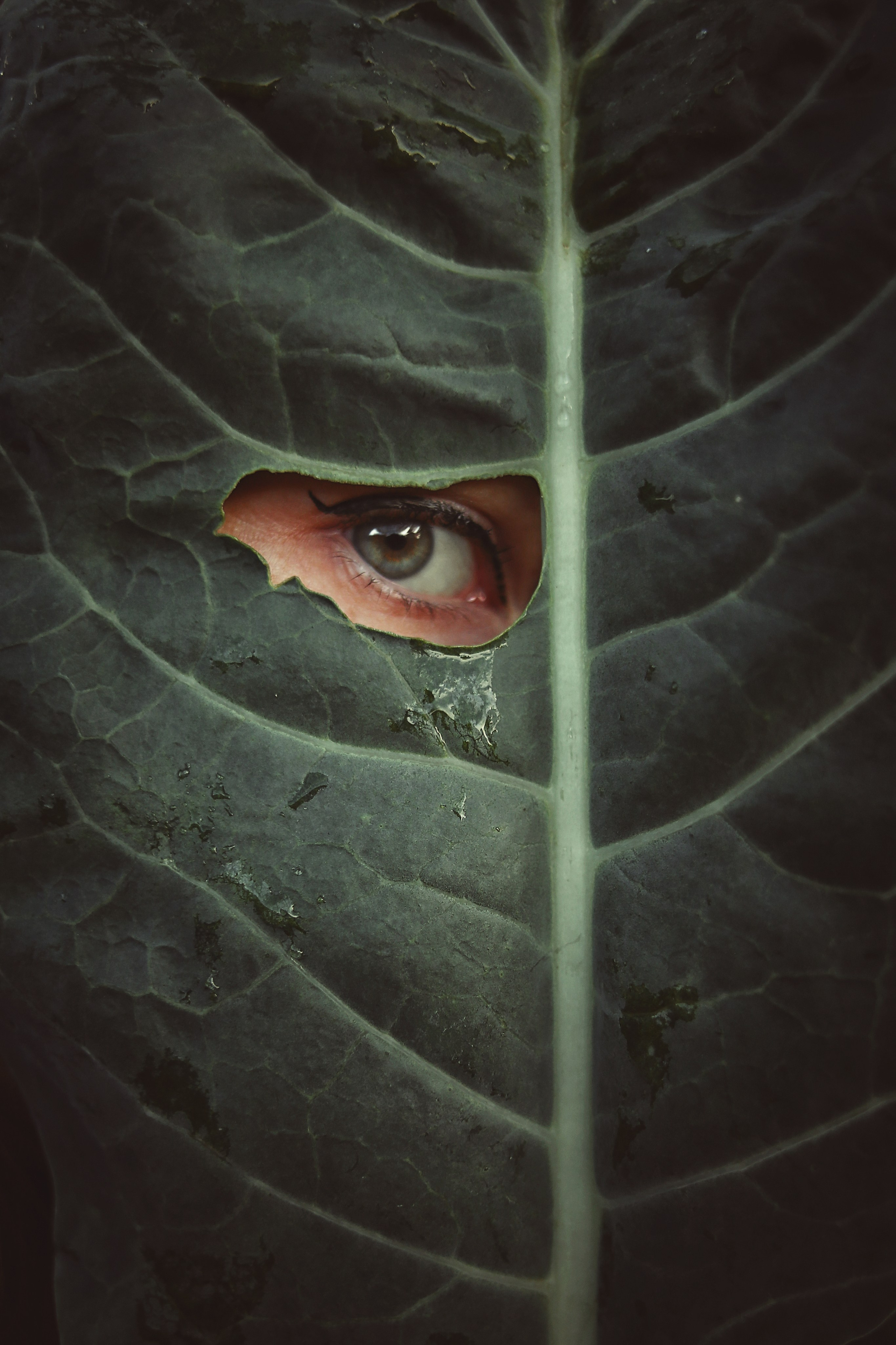 Стоимость услуг детского семейного фотографа в Ижевске Аксиньи Лысенковой. Детский, семейный фотограф в Ижевске и Москве Аксинья Лысенкова ADEN