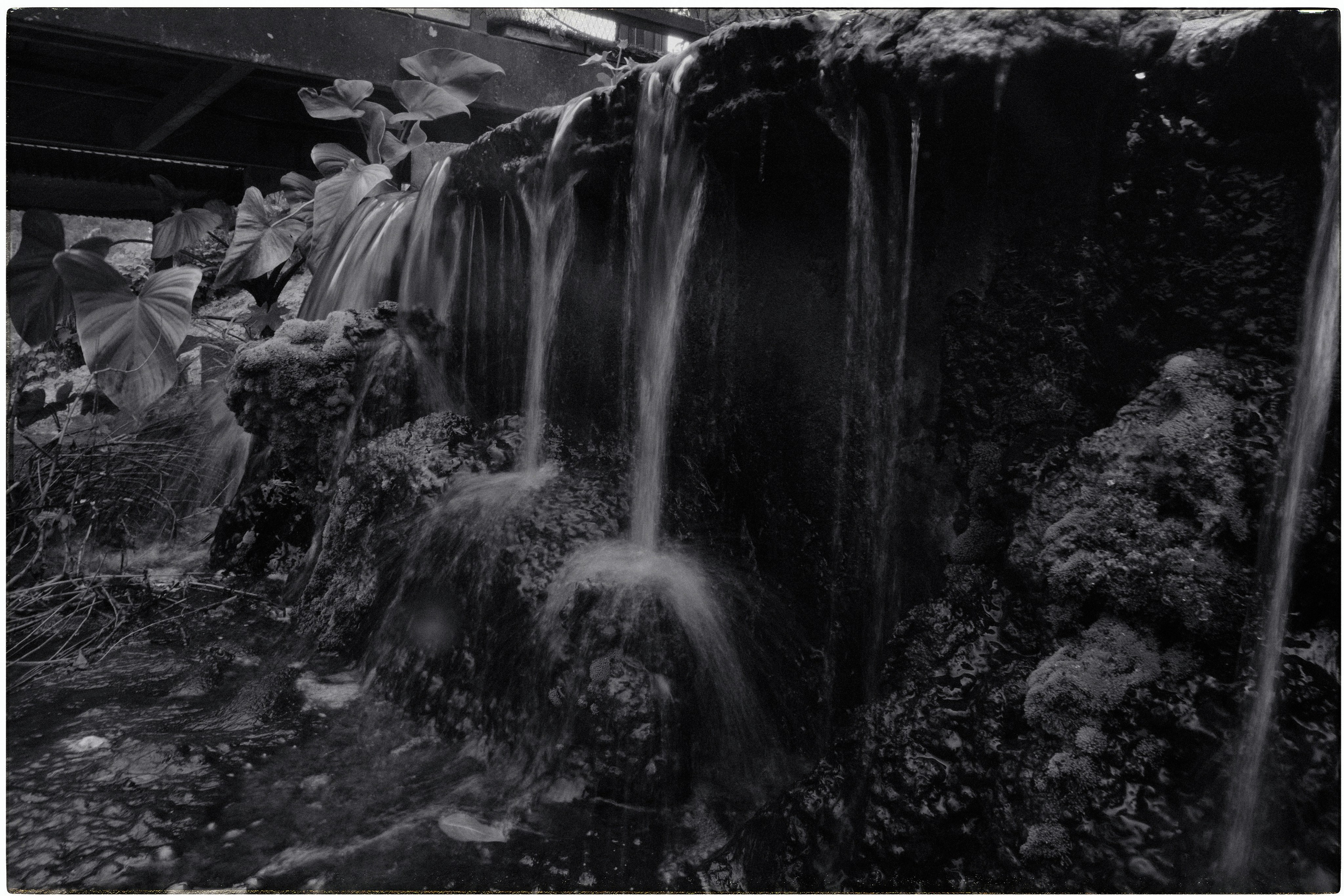 Таиланд. Портретный и репортажный фотограф в Санкт-Петербурге Дарья Сибирякова