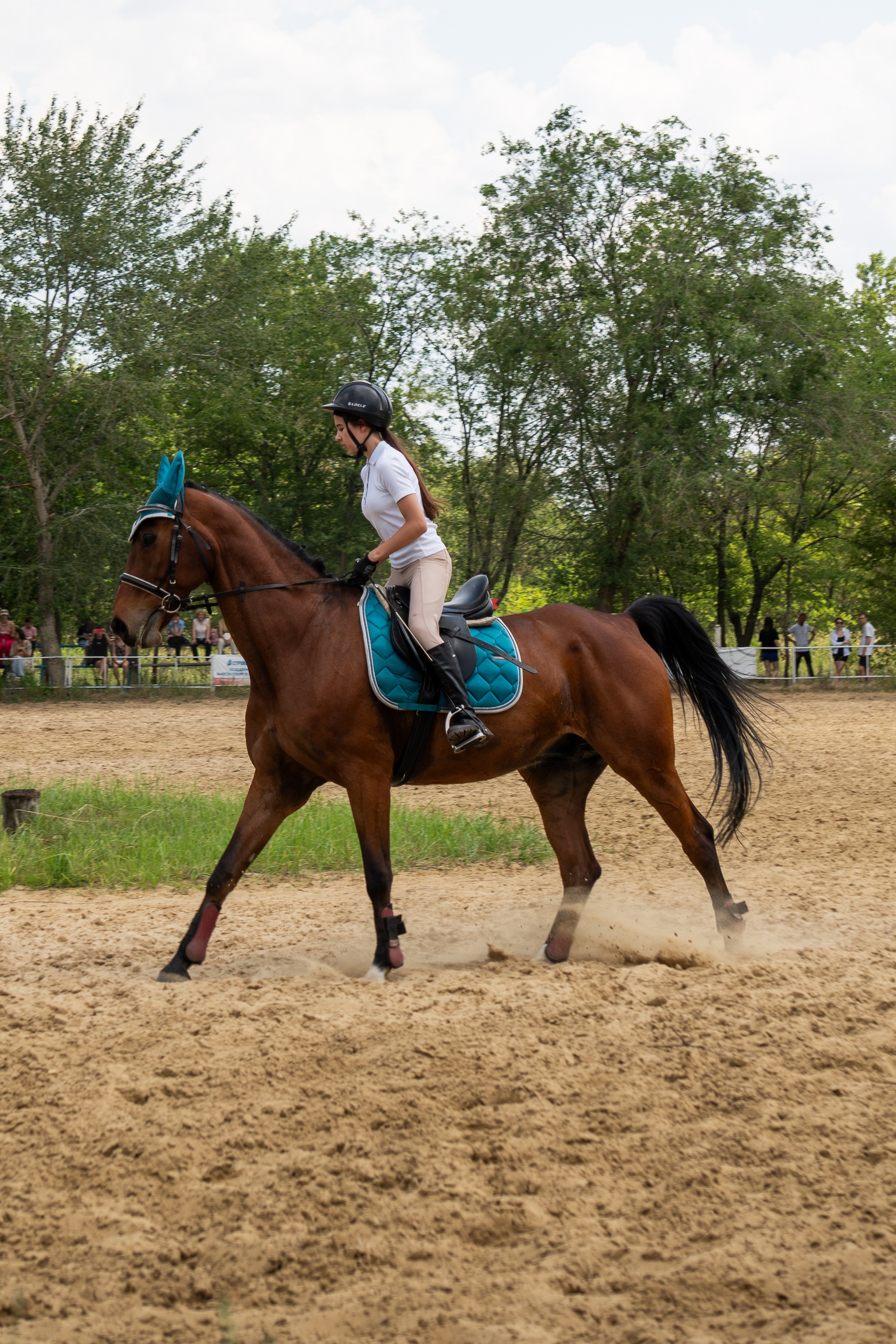 Соревнования по конкуру, Луганск. Фотограф в РФ и ЛНР Юлия Федосеева