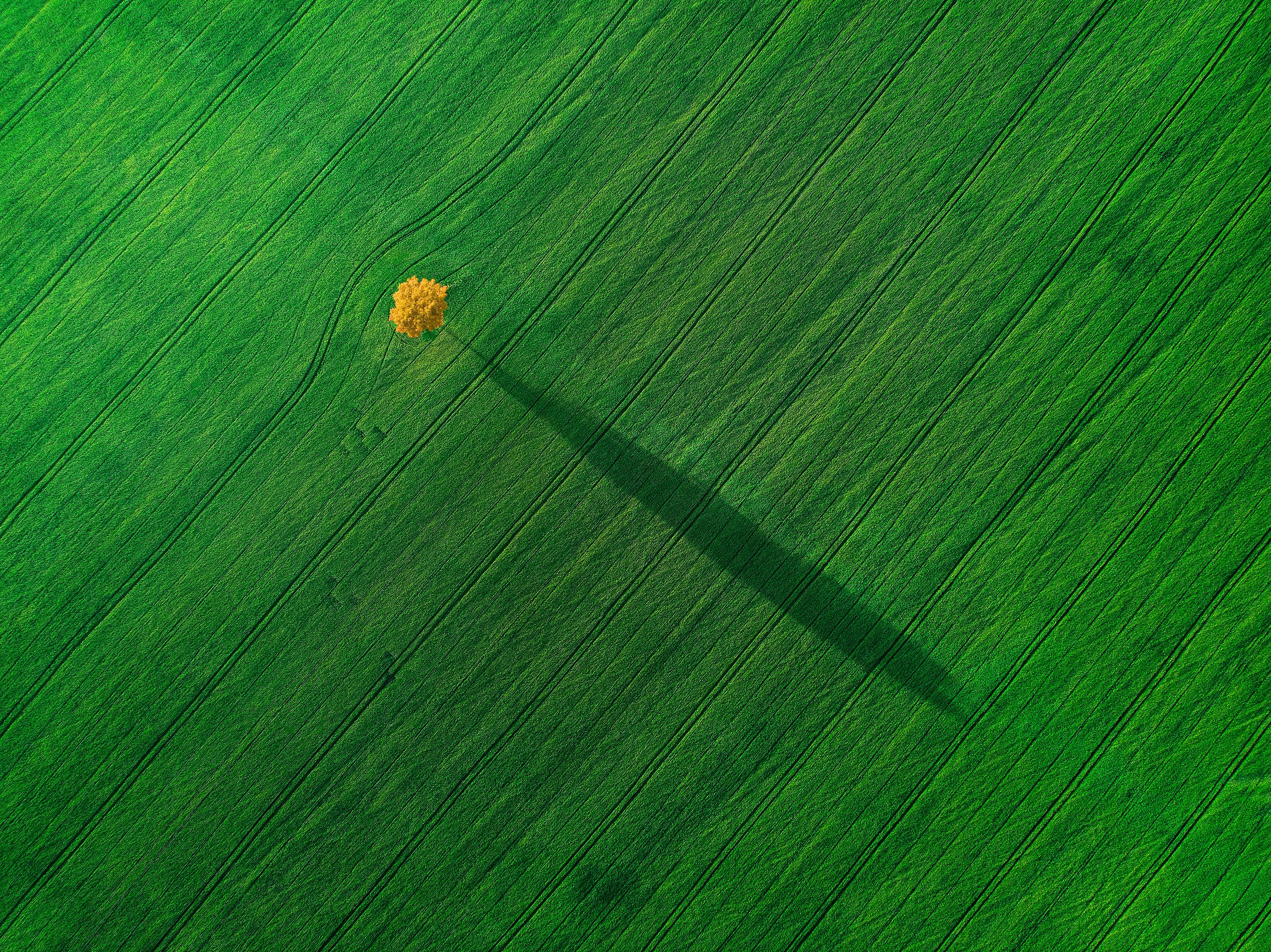 Николай Брытков — фотограф в Туле