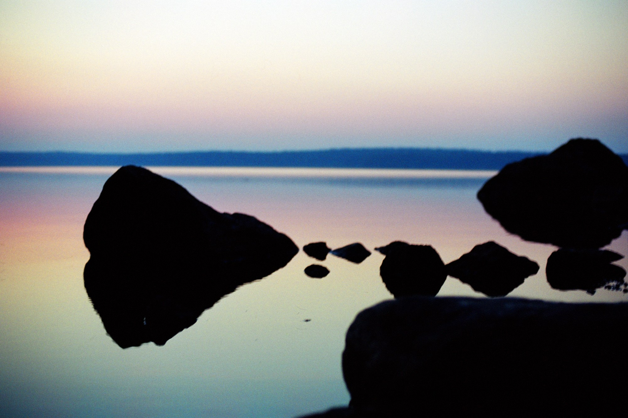 Елена Цихон художник фотографии и мастер фото-ДНК