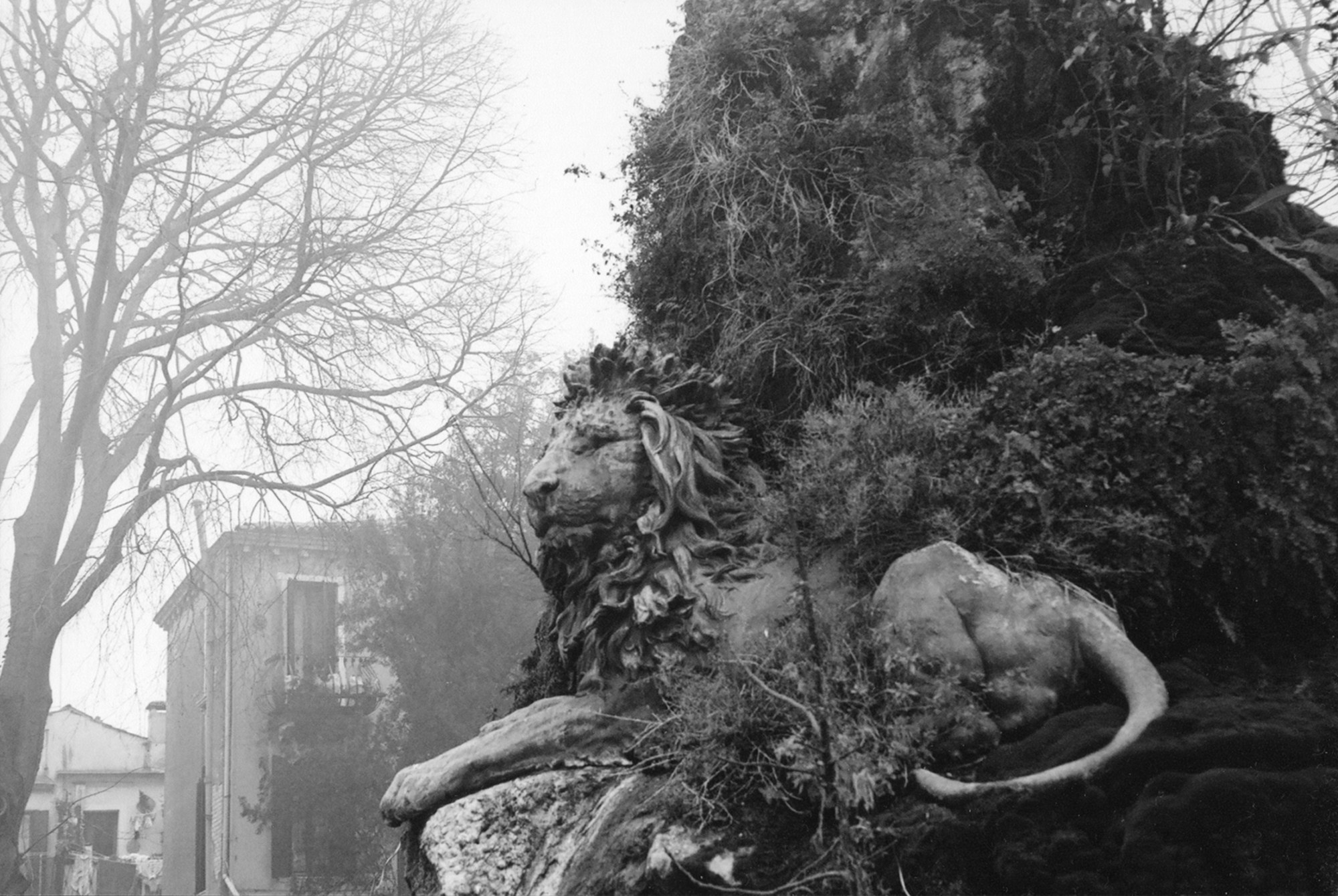 Art Series. Елена Цихон художник фотографии и мастер фото-ДНК