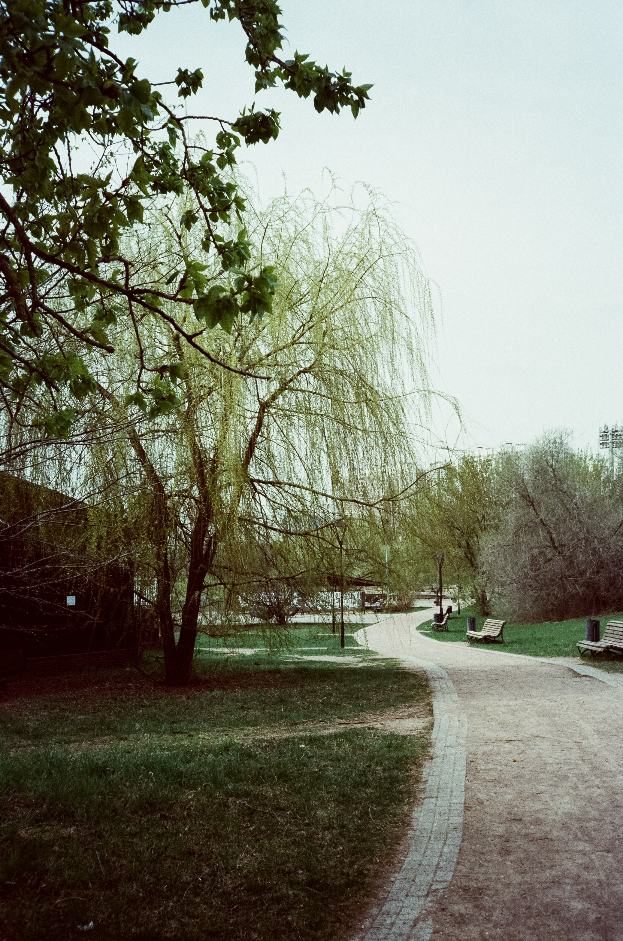 Ricoh 500GS / SFL 200T / Строгино тестовая пленка апрель 2024 г