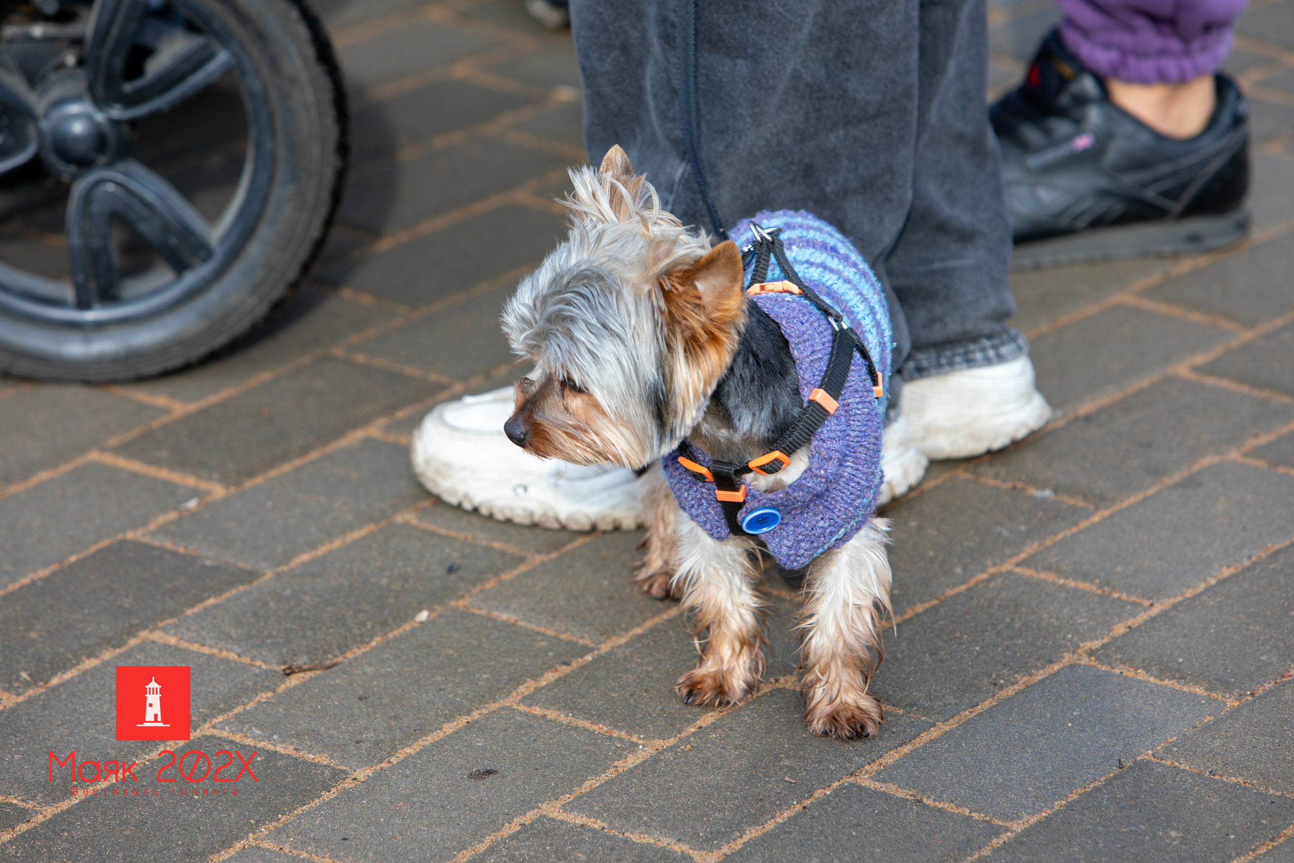 Отрадное, День города. Автомобильная фотография в Санкт-Петербурге
