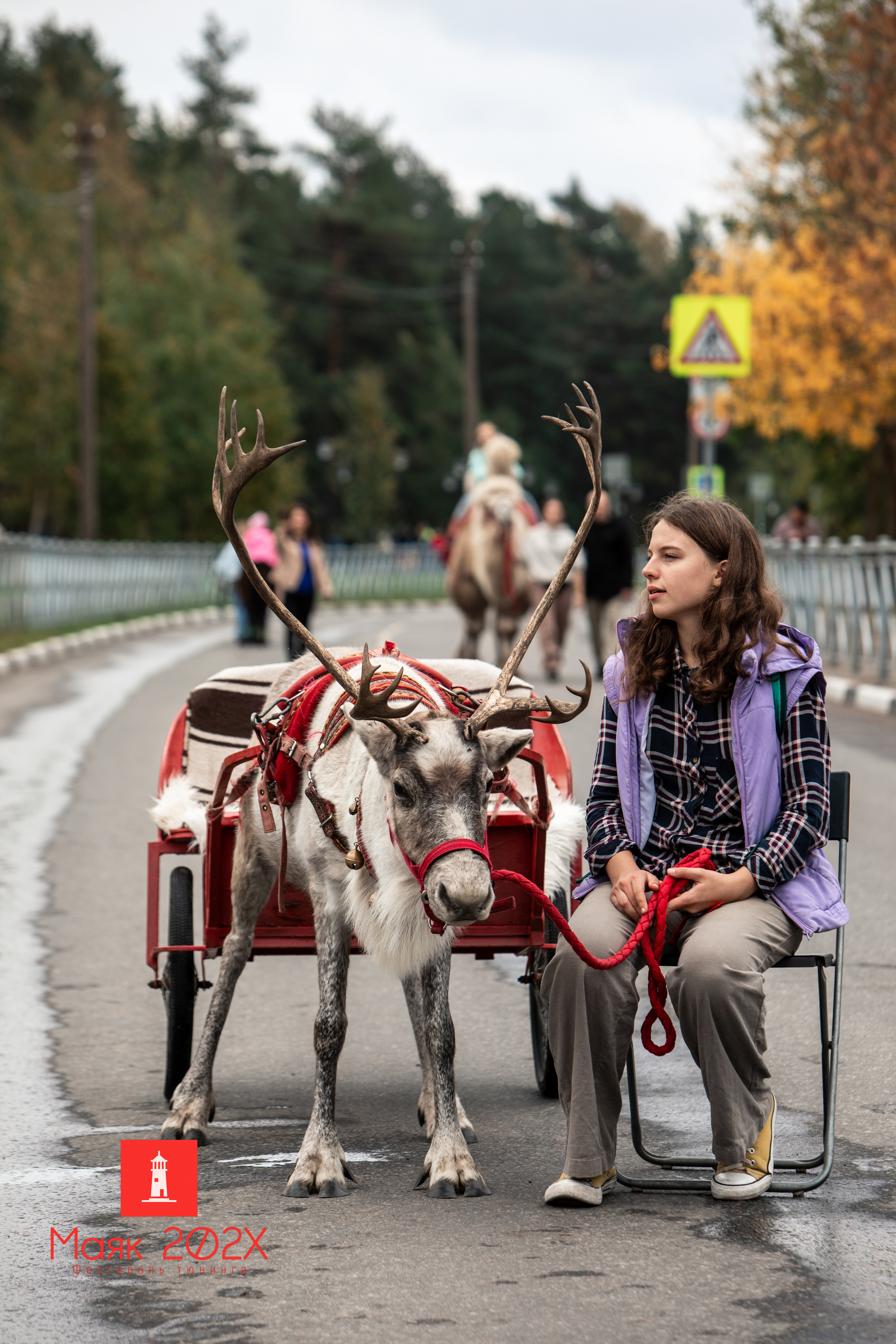Отрадное, День города. Автомобильная фотография в Санкт-Петербурге