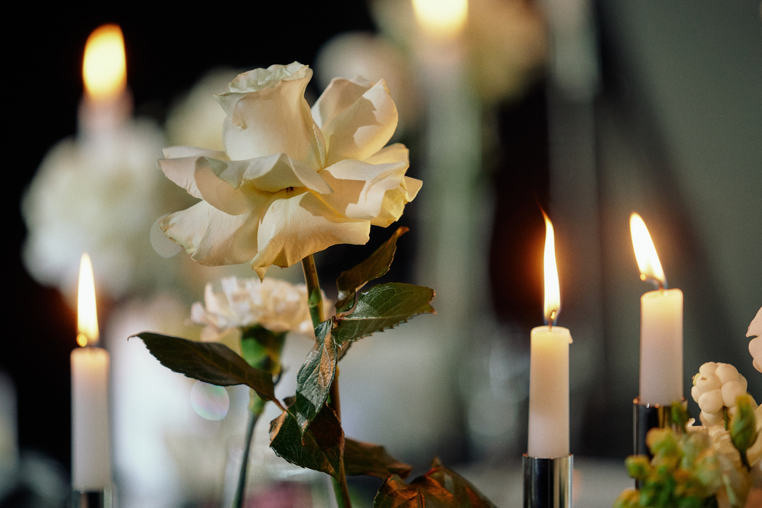 Свадебная фотосессия актера и певцы — Портфолио Дмитрия Мазуркевича. Дмитрий Мазуркевич: Профессиональный Репортажный Фотограф