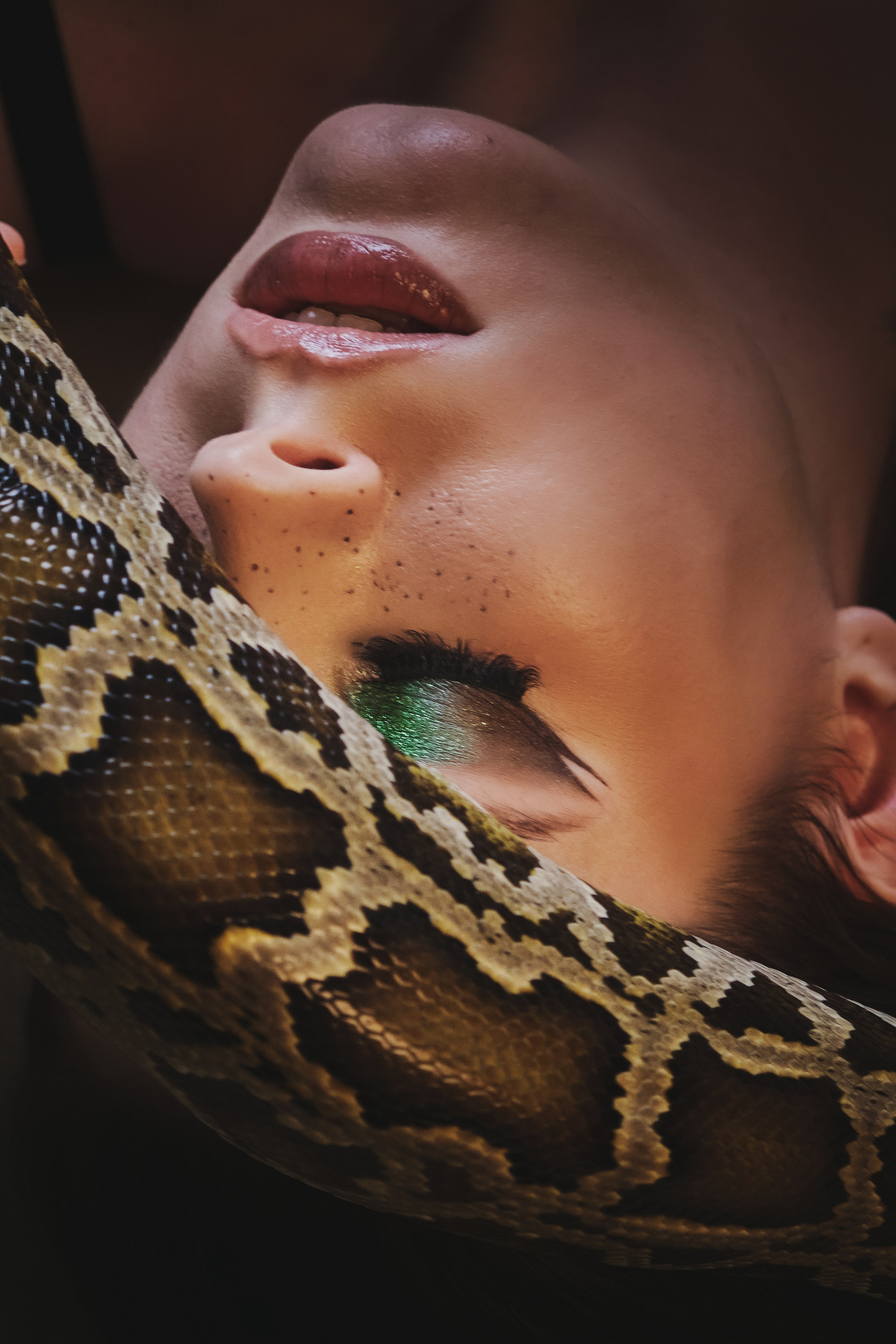 Фотосессия со змеёй в Москве — съёмки в студии с проверенными заводчиками. Портретный фотограф в Москве — Виктория Колышева