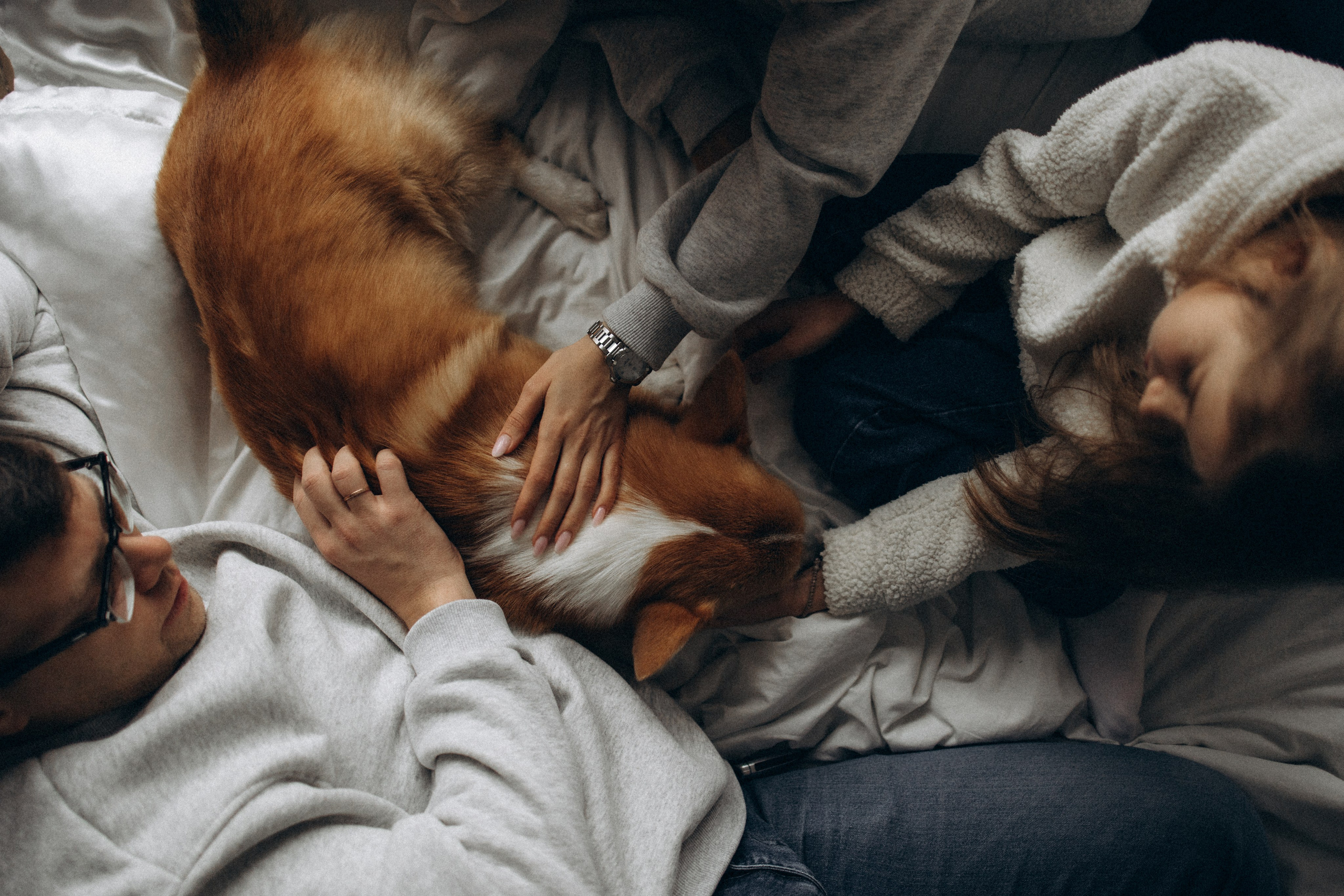 Зевс и его семья. Фотораф — анималист Мария Шистка