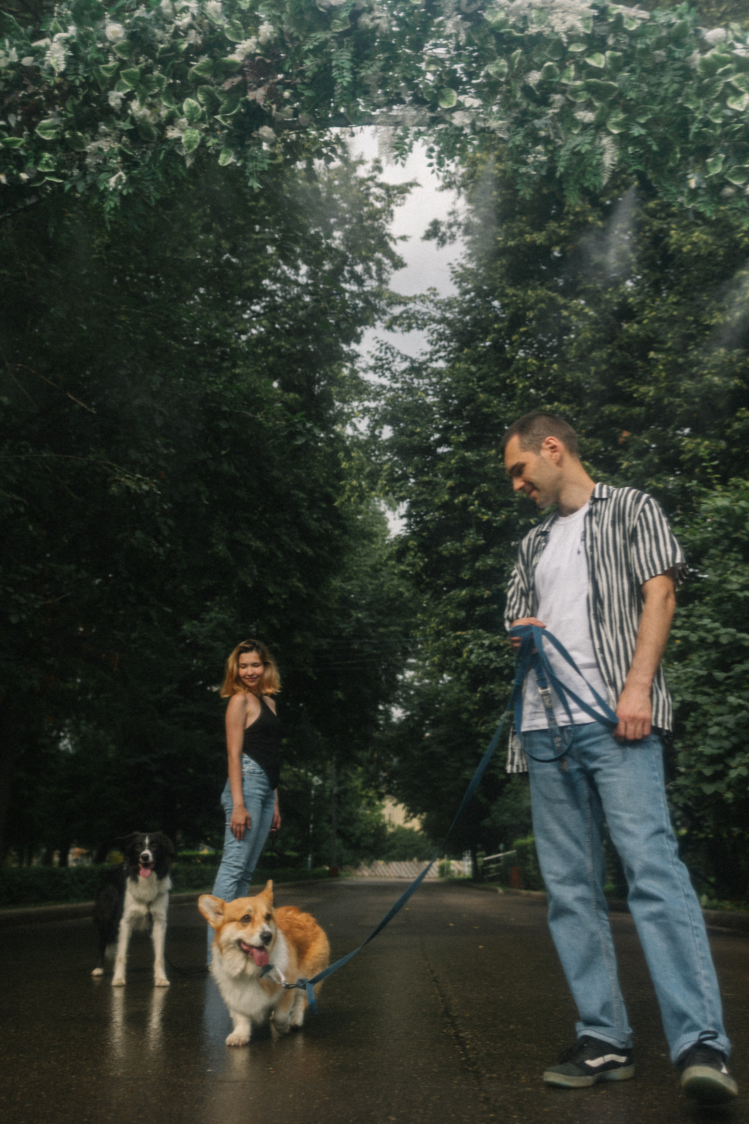 Брюс, Вейв и их ро. Фотораф — анималист Мария Шистка