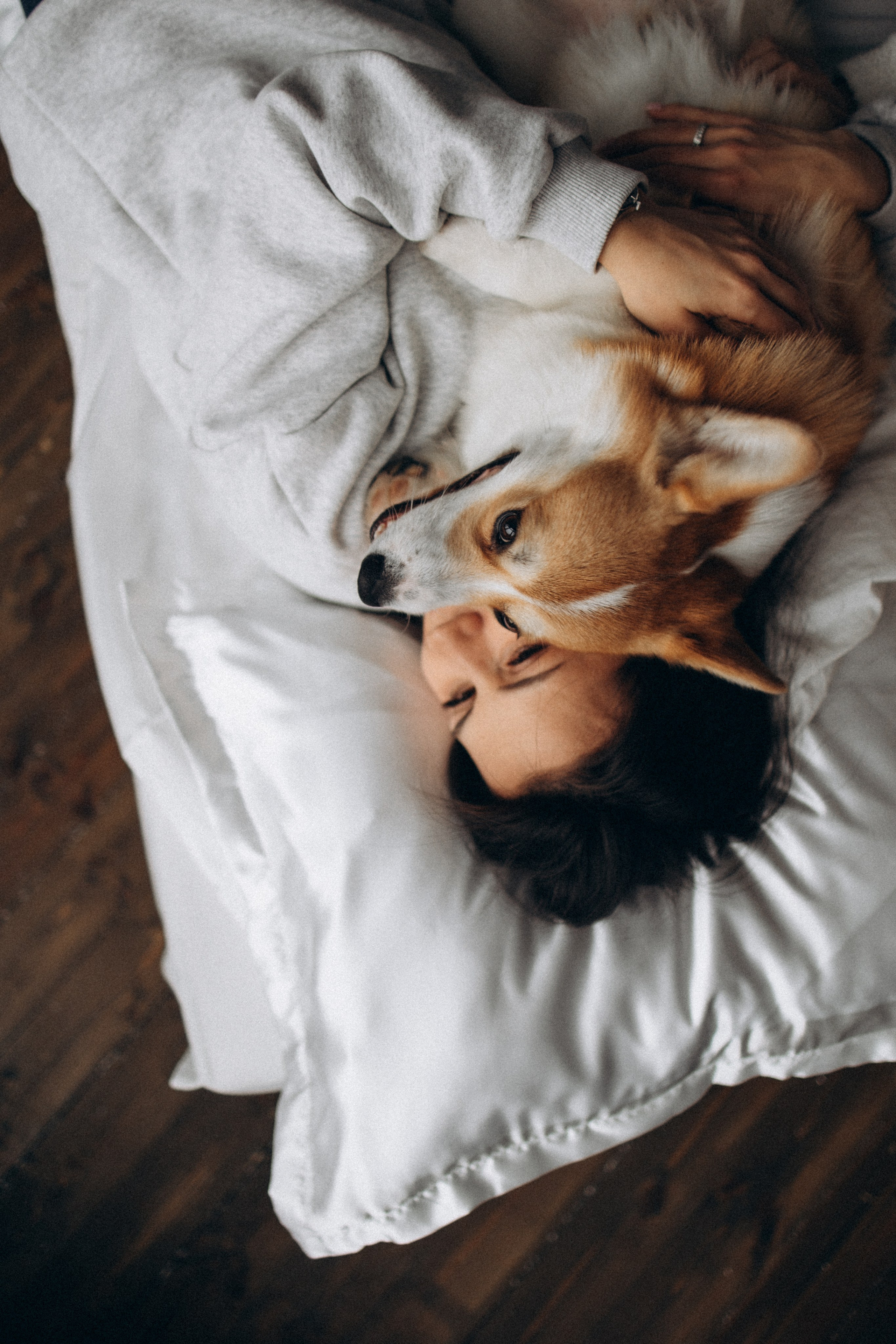 Зевс и его семья. Фотораф — анималист Мария Шистка