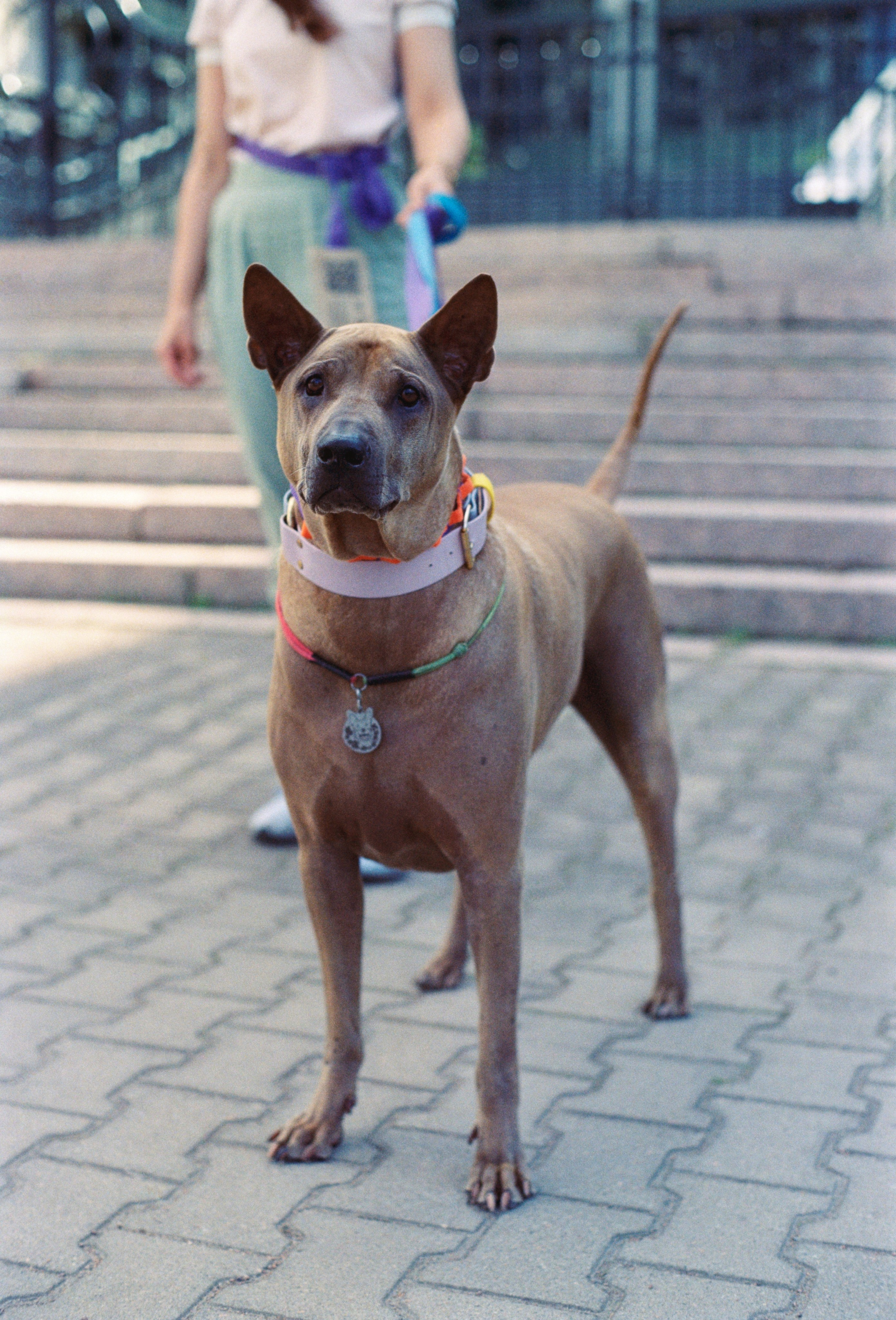 VOX. Стилист и плёночный фотограф Анастасия Шлокова в Санкт-Петербурге и Москве