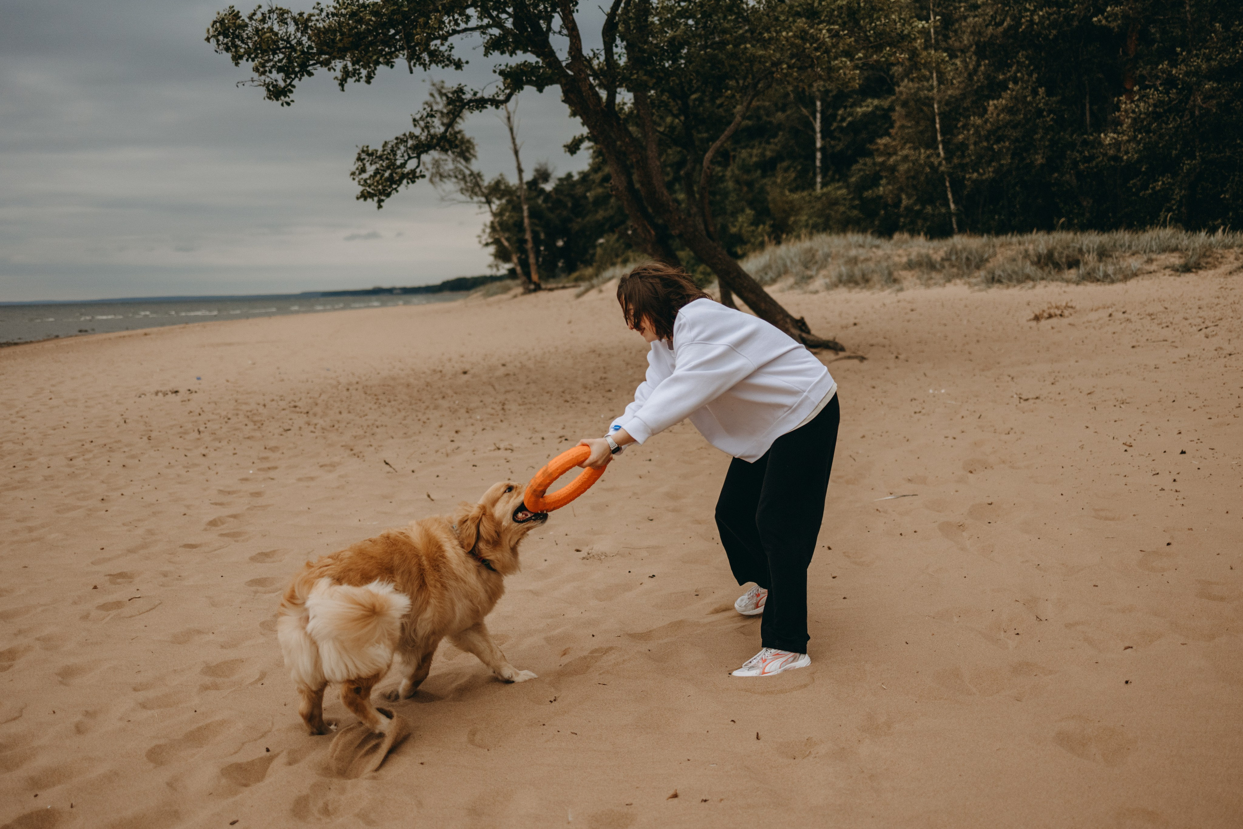 Фоси и его семьи. Фотограф — Анималист | Санкт-Петербург