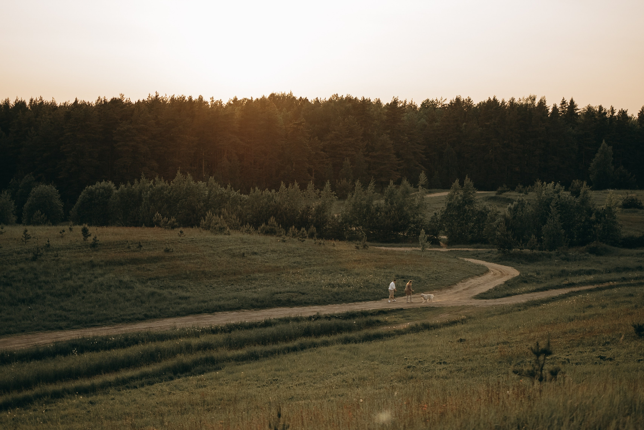 Милка и ребята. Фотограф — Анималист | Санкт-Петербург