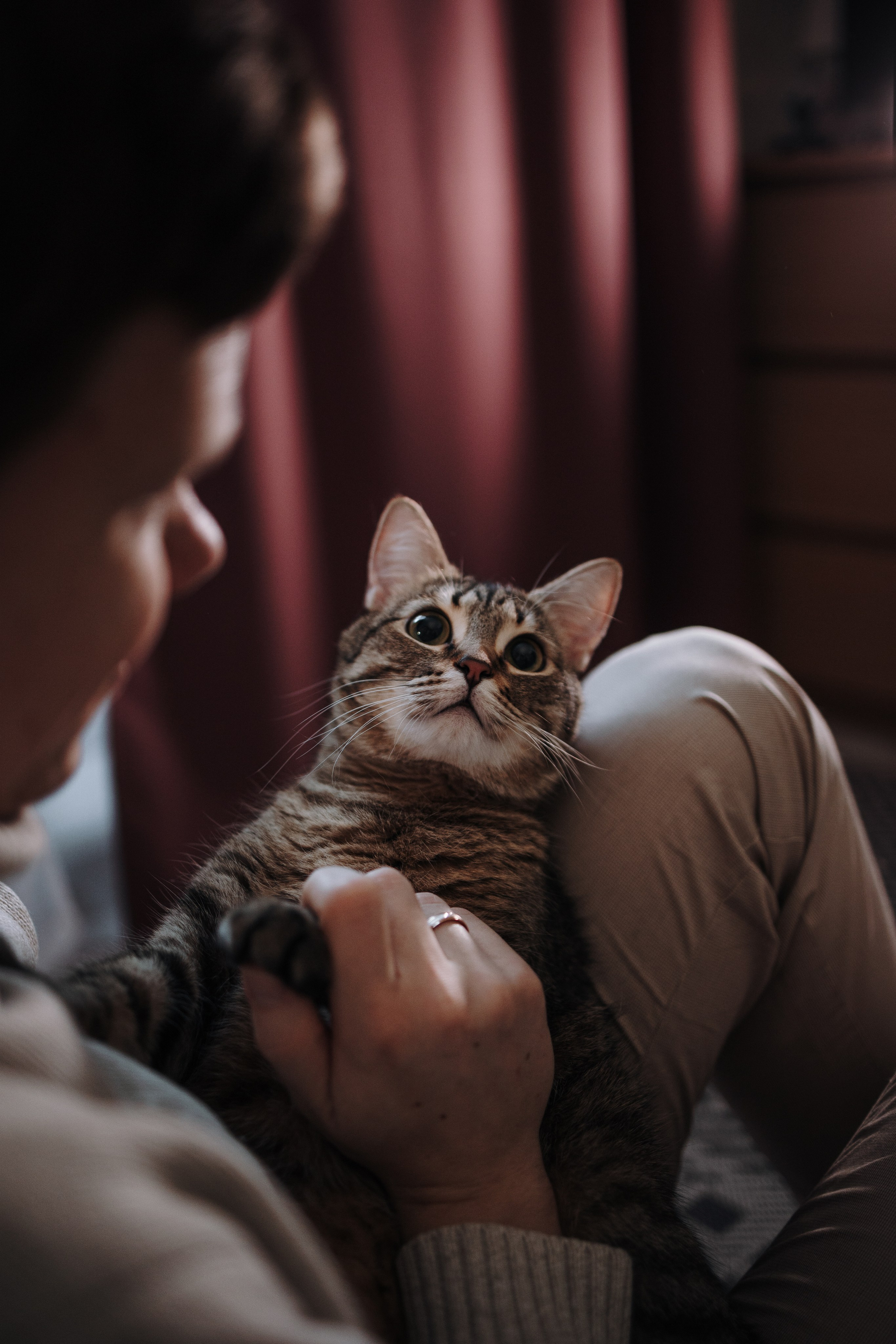 Мася и ее семья. Фотограф — Анималист | Санкт-Петербург