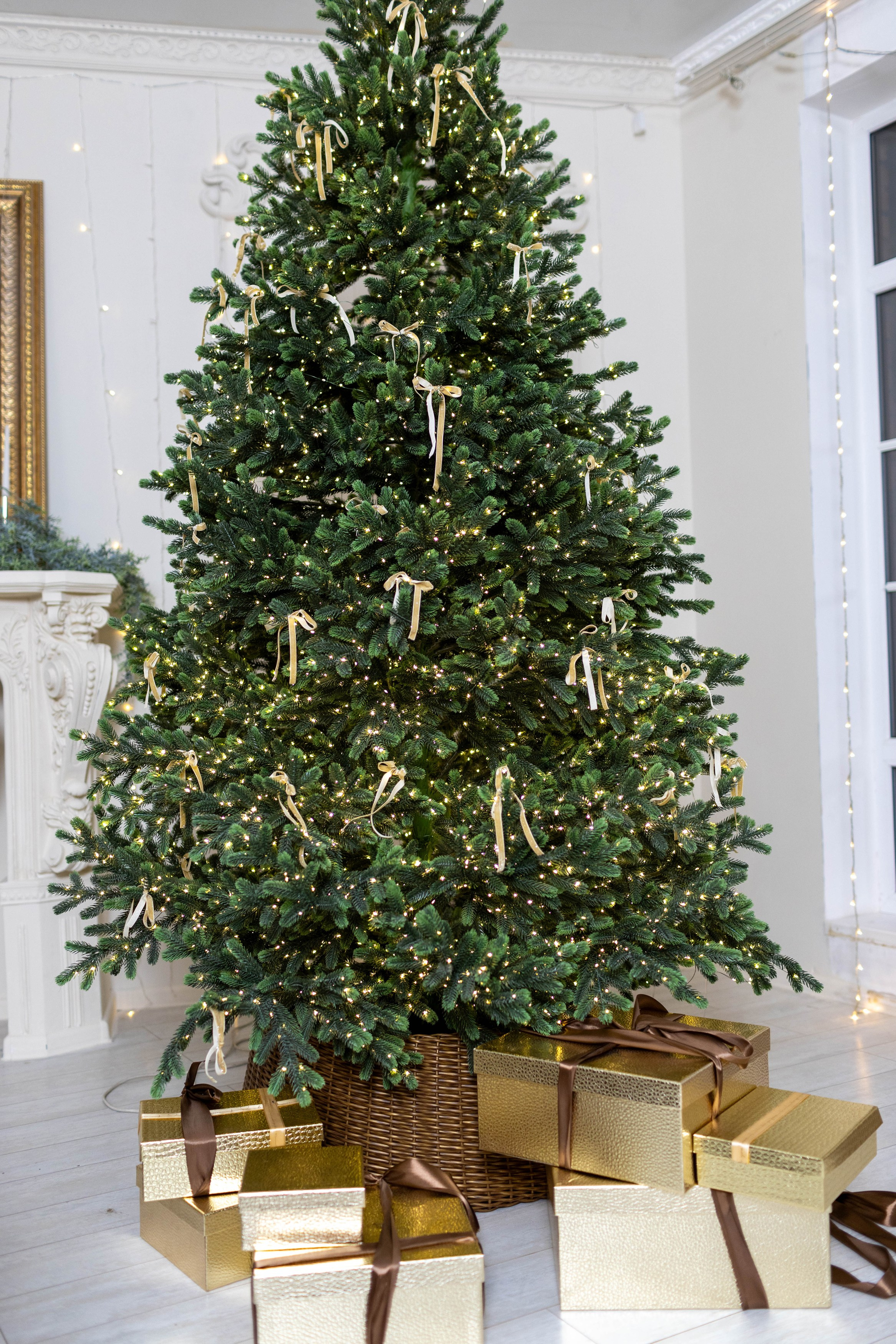 Фотостудия. Медиапродюсер, фотограф в Минеральных Водах —Виктор Холодов