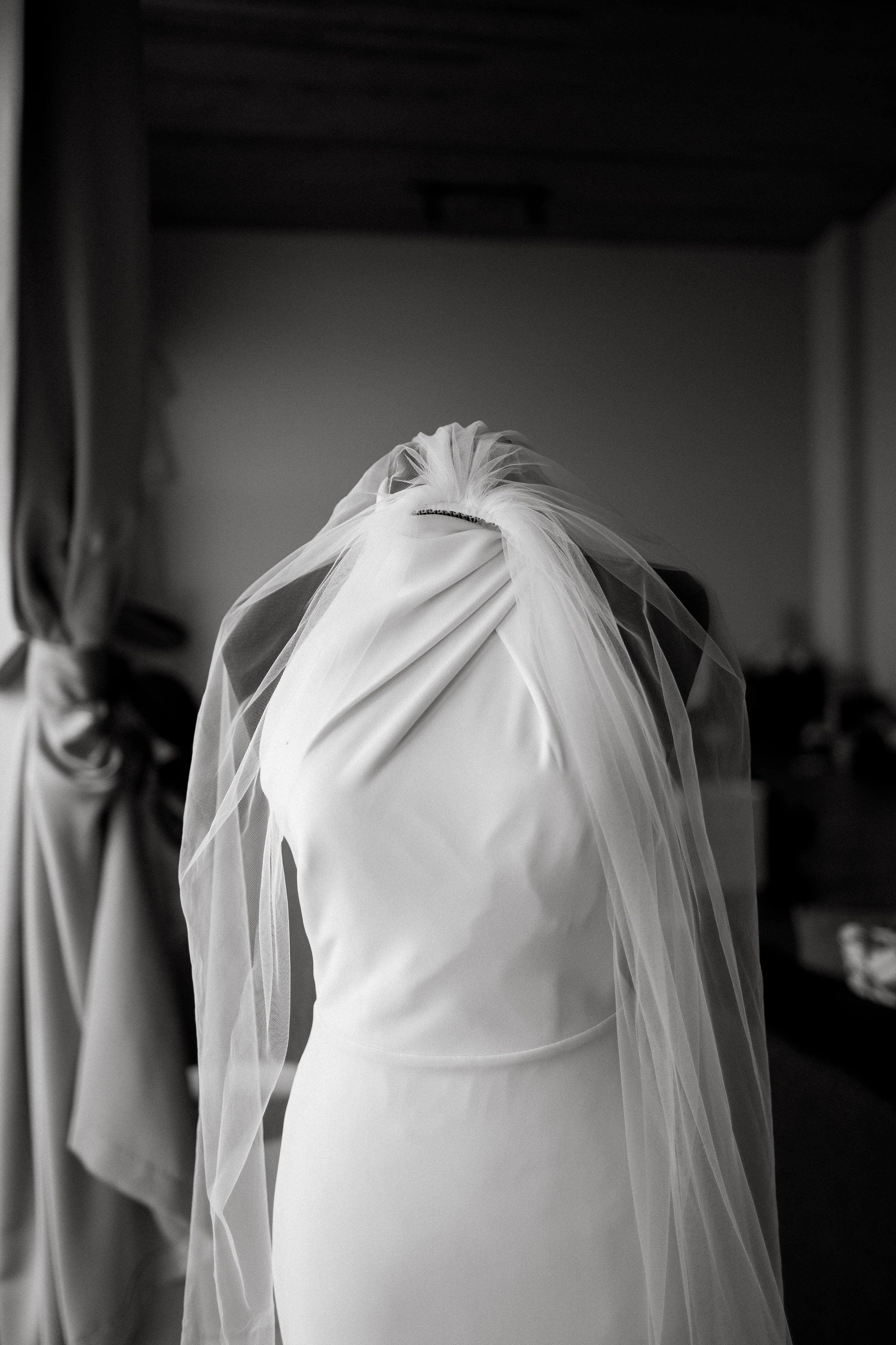 Крокус. Alesya Gee Photographer Uzbekistan