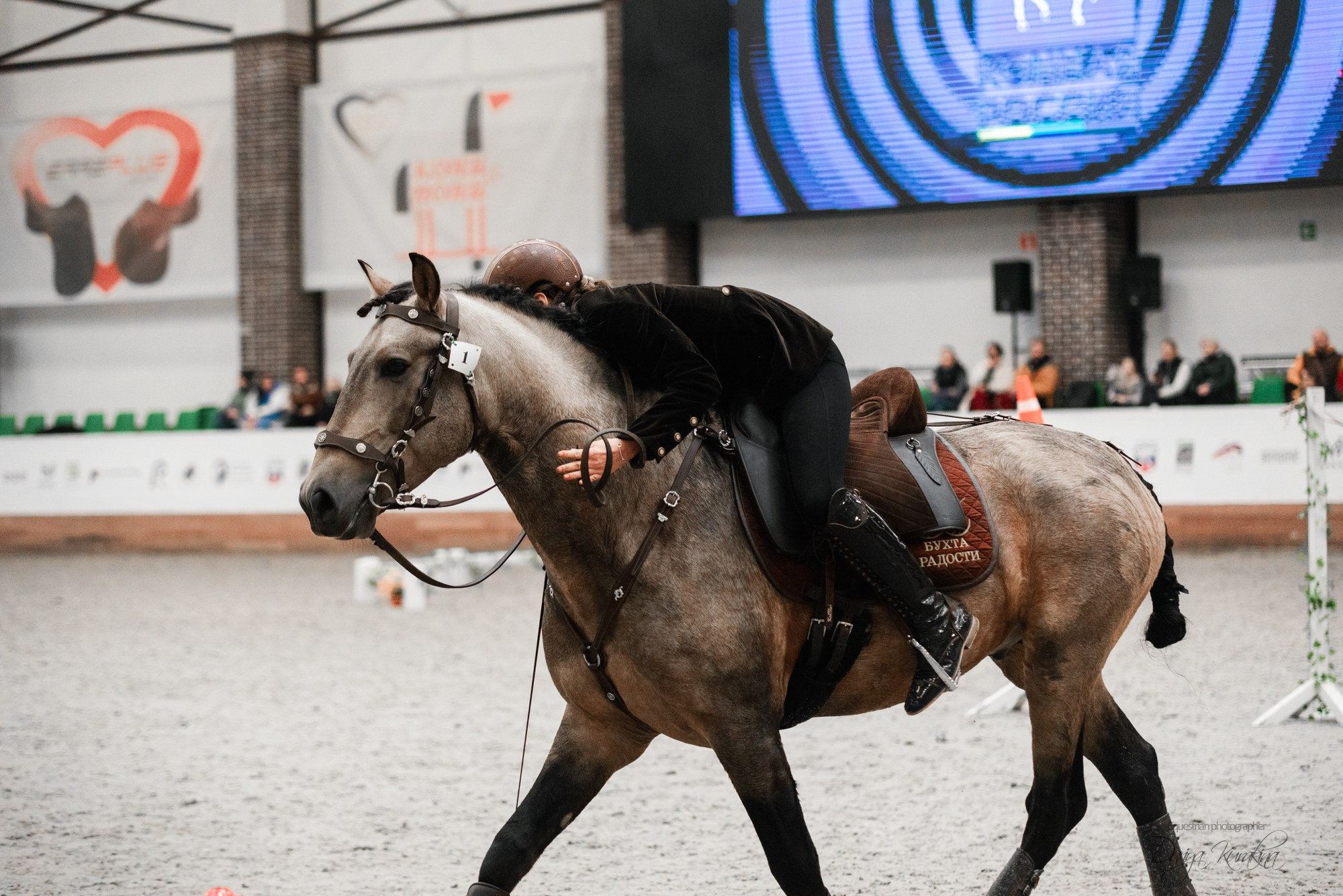 8-я международная выставка Конная Россия. Конный фотограф Куракина Дарья • Фотосессии с лошадьми