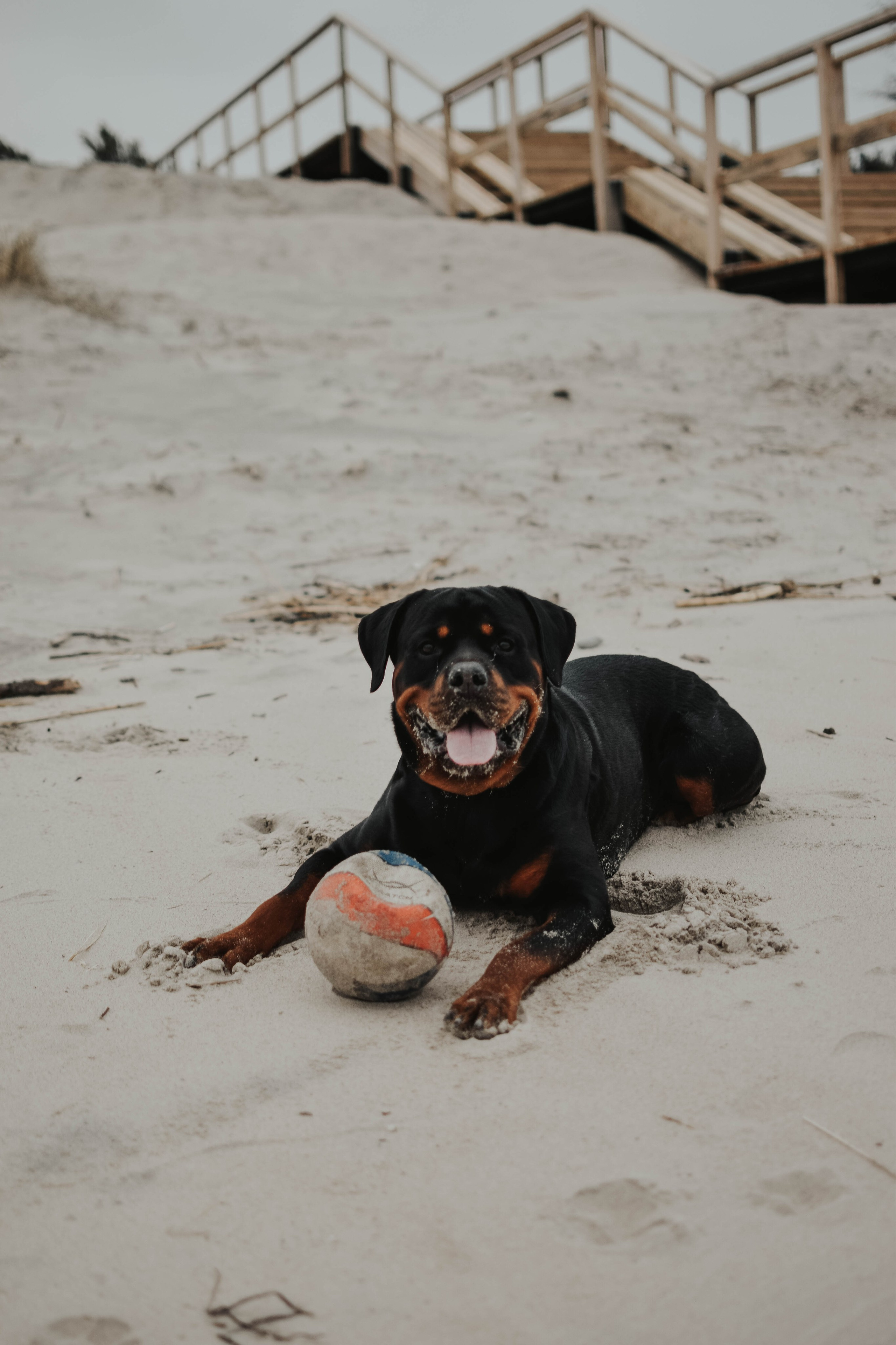 Михаил&Алена🤍. Главная