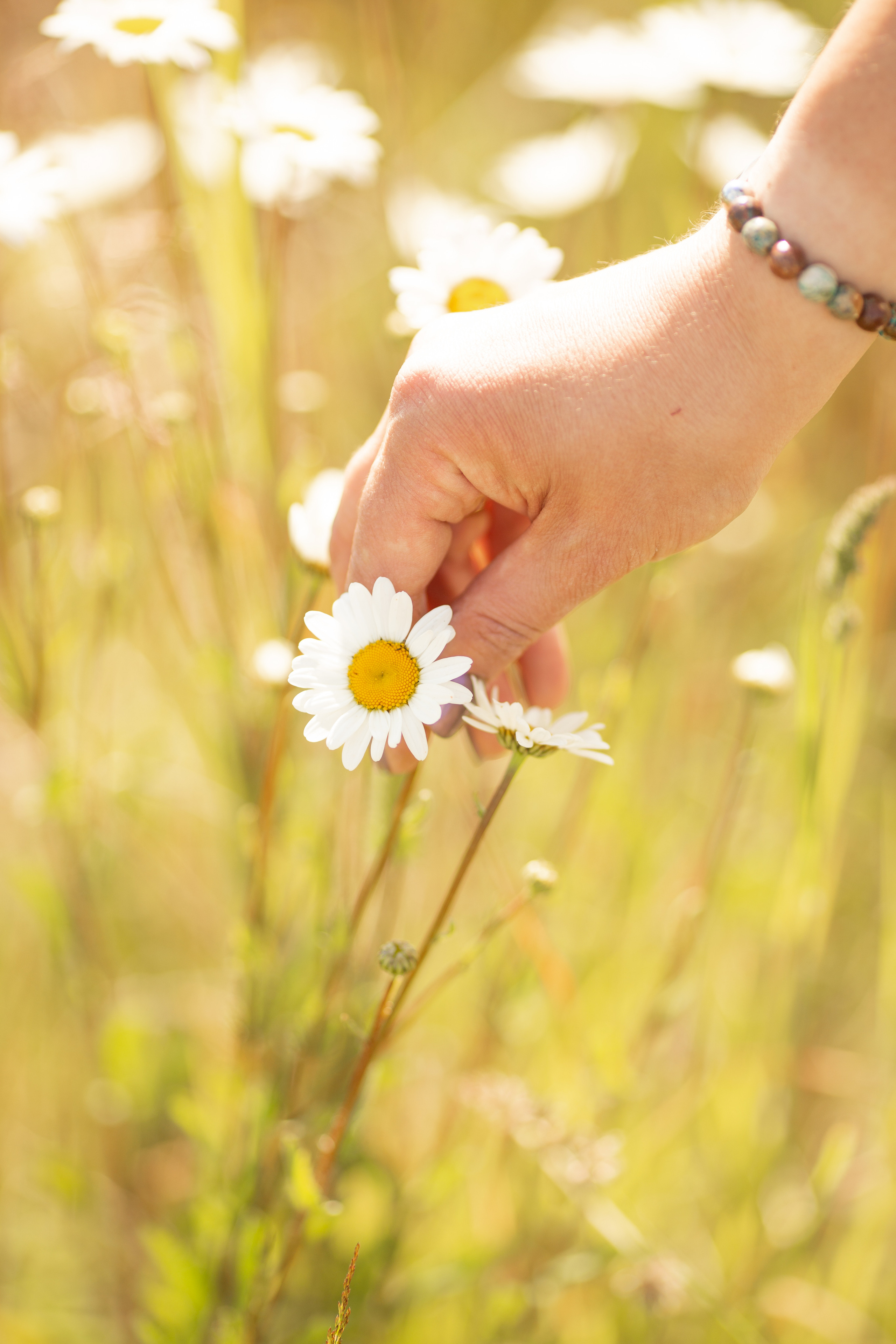 Контент съемка косметика ручной работы. Фотограф СПб Юлия Ерошевская, предметный фотограф