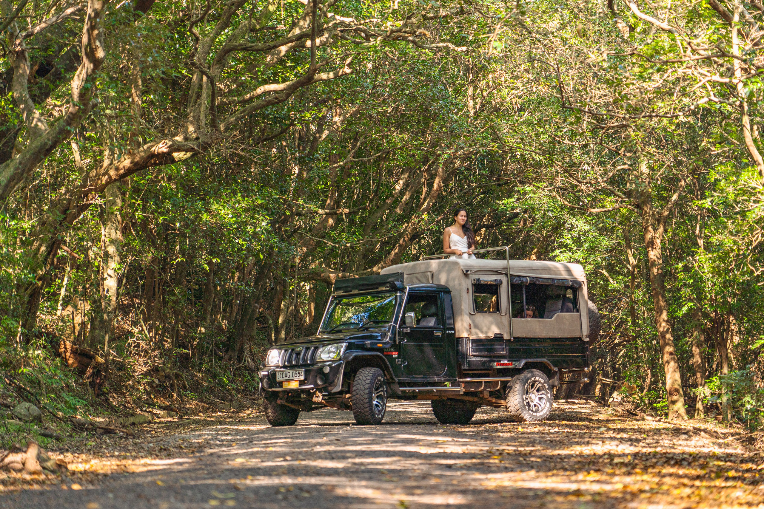 Promo content shooting for Ceylon Forward Tours